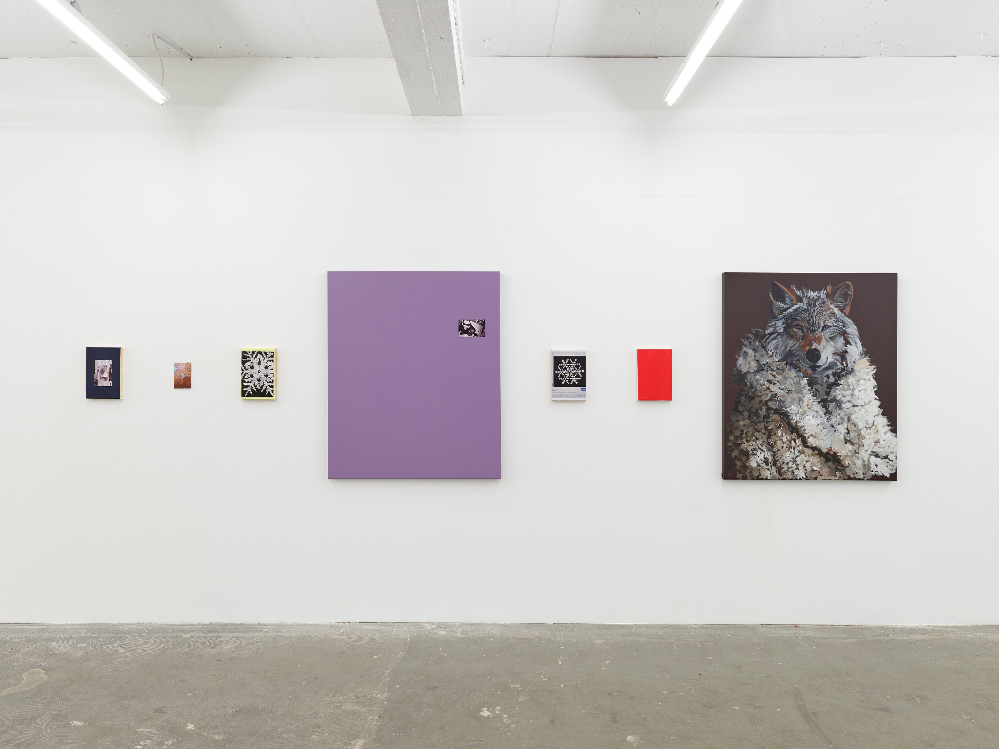 Sophie Gogl, image 3 of 11