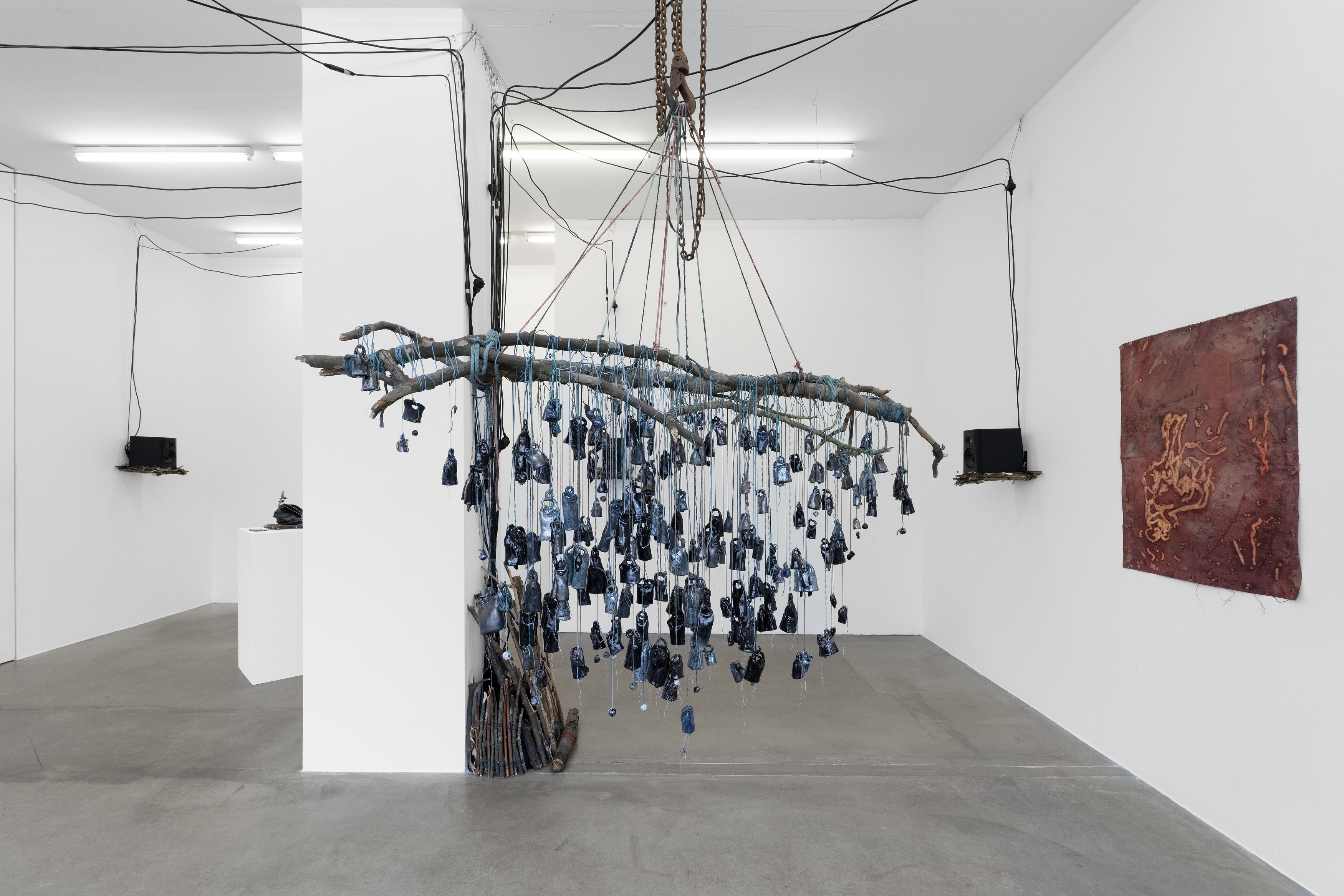 Alice Z Jones, Madness is a Shadow Chasing Freedom at Anton Janizewski, photo 3