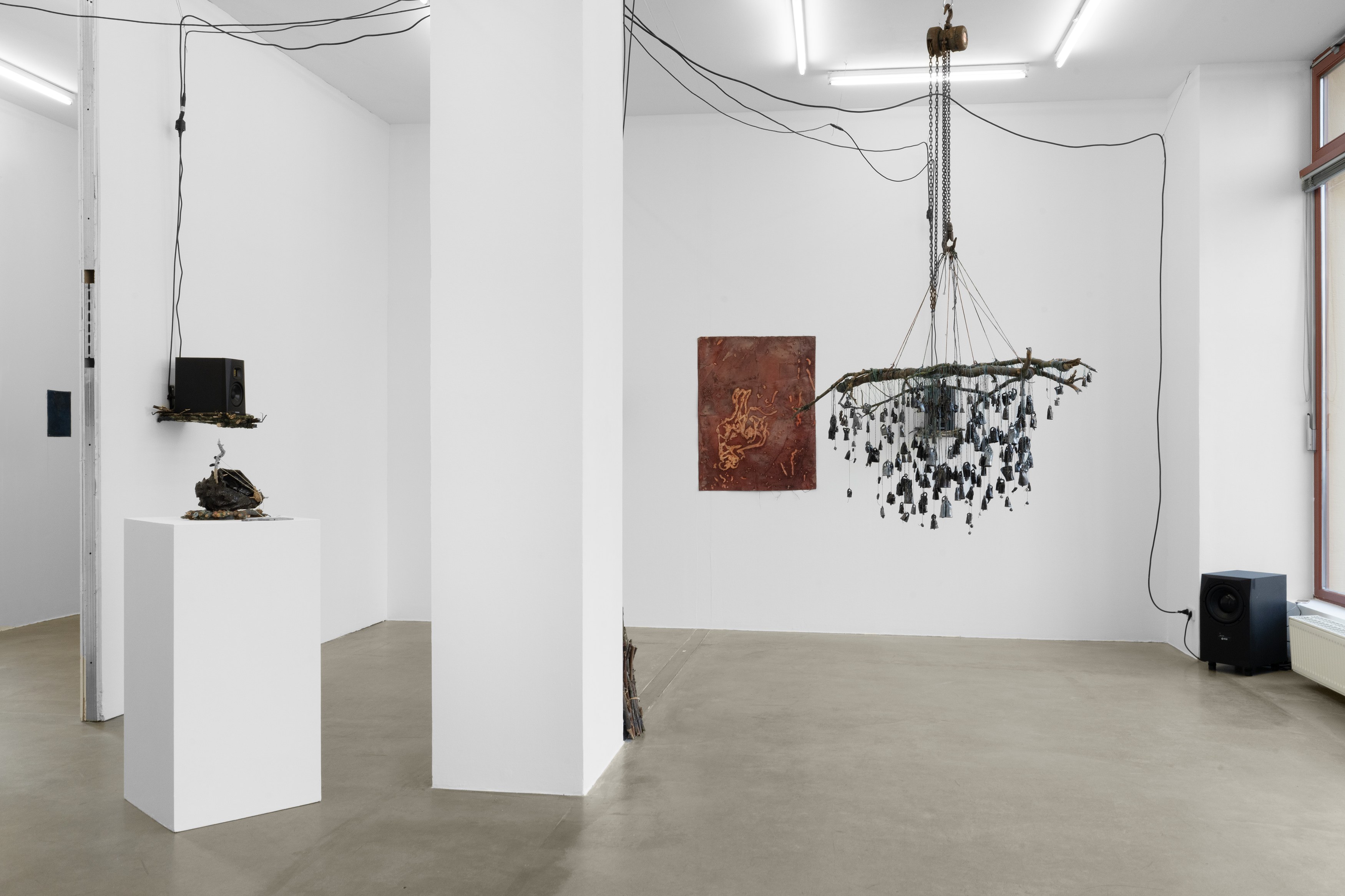 Alice Z Jones, Madness is a Shadow Chasing Freedom at Anton Janizewski, photo 2