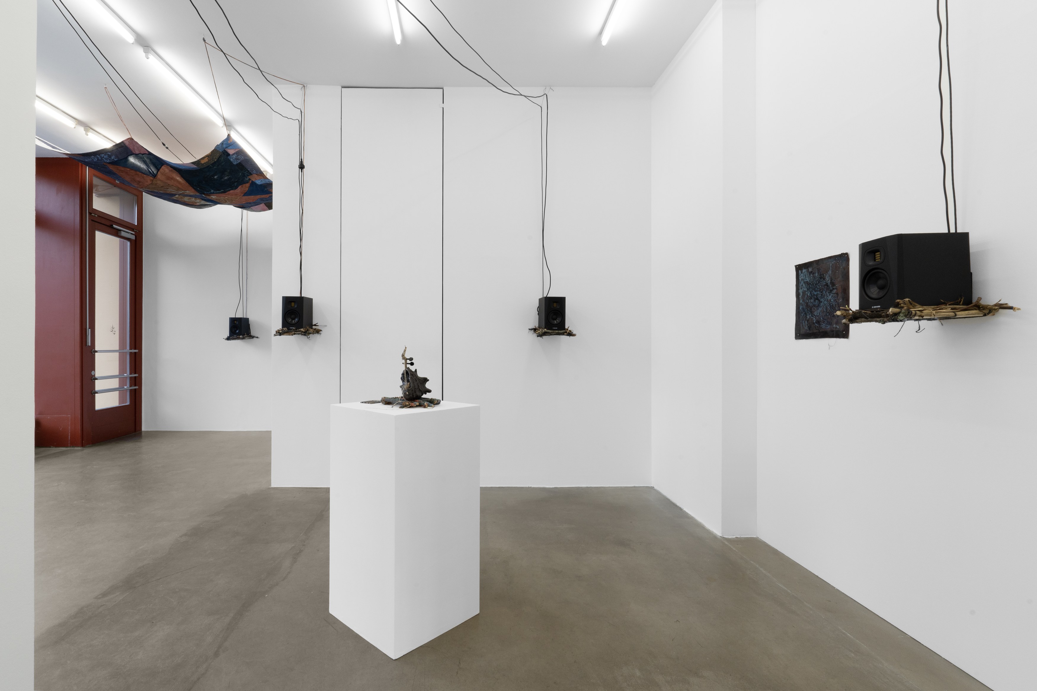 Alice Z Jones, Madness is a Shadow Chasing Freedom at Anton Janizewski, photo 5