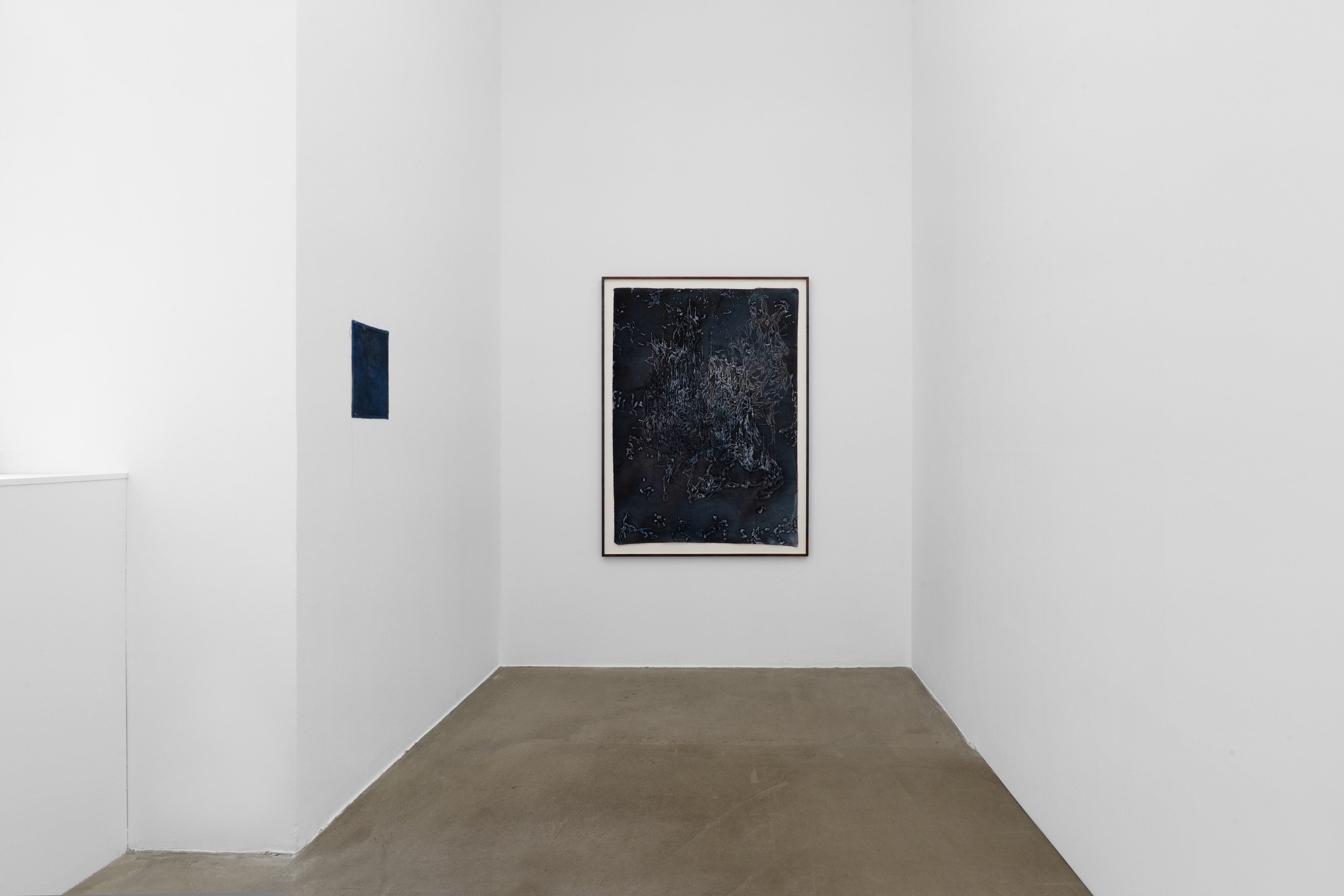 Alice Z Jones, Madness is a Shadow Chasing Freedom at Anton Janizewski, photo 7