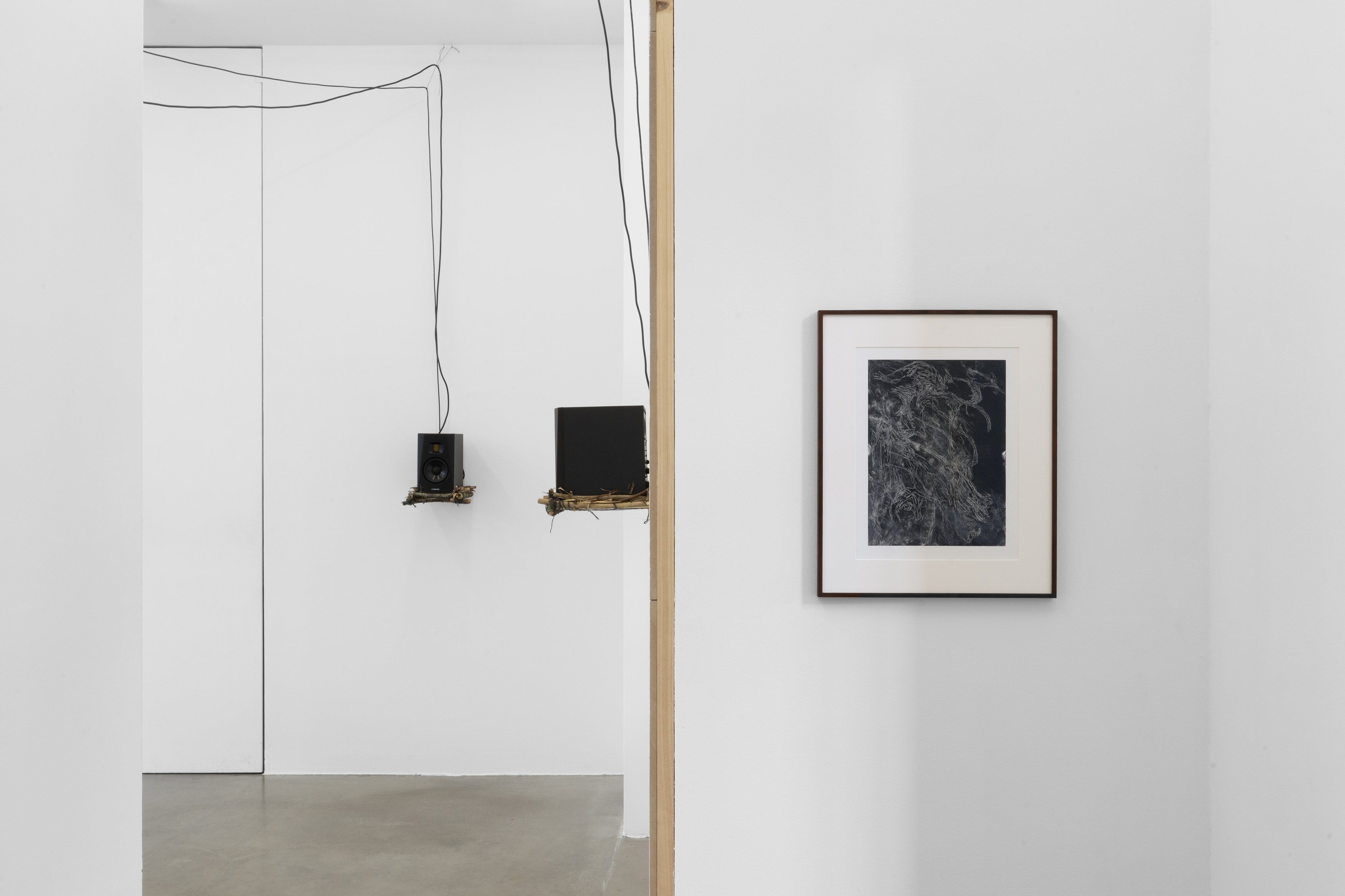 Alice Z Jones, Madness is a Shadow Chasing Freedom at Anton Janizewski, photo 8
