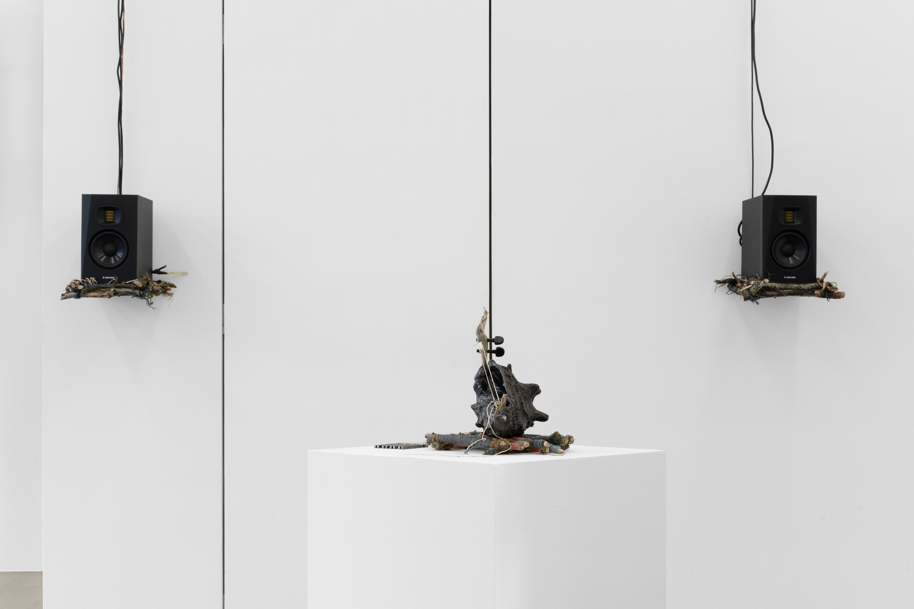Alice Z Jones, Madness is a Shadow Chasing Freedom at Anton Janizewski, photo 6