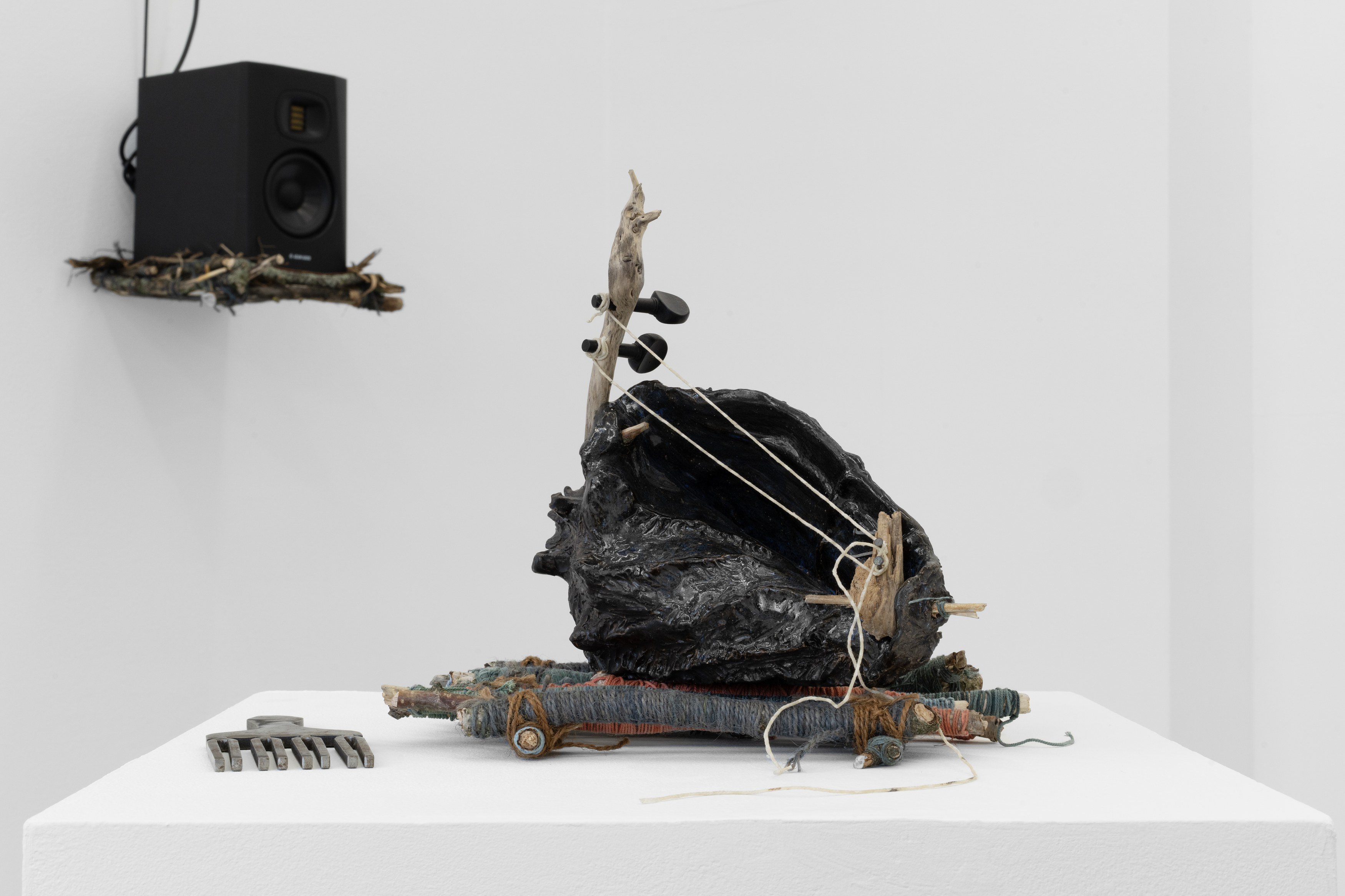 Alice Z Jones, Madness is a Shadow Chasing Freedom at Anton Janizewski, photo 10