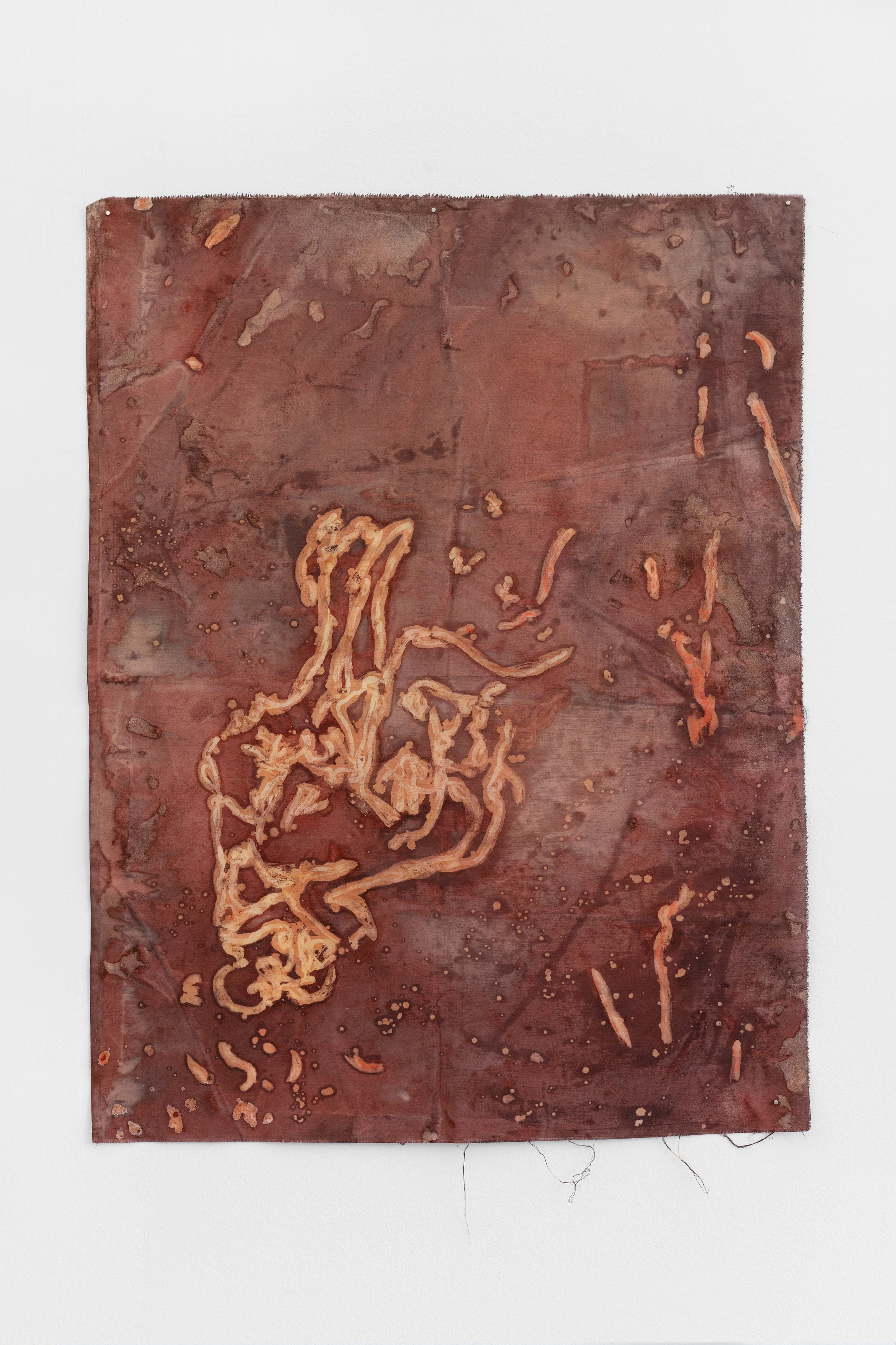 Alice Z Jones, Madness is a Shadow Chasing Freedom at Anton Janizewski, photo 13