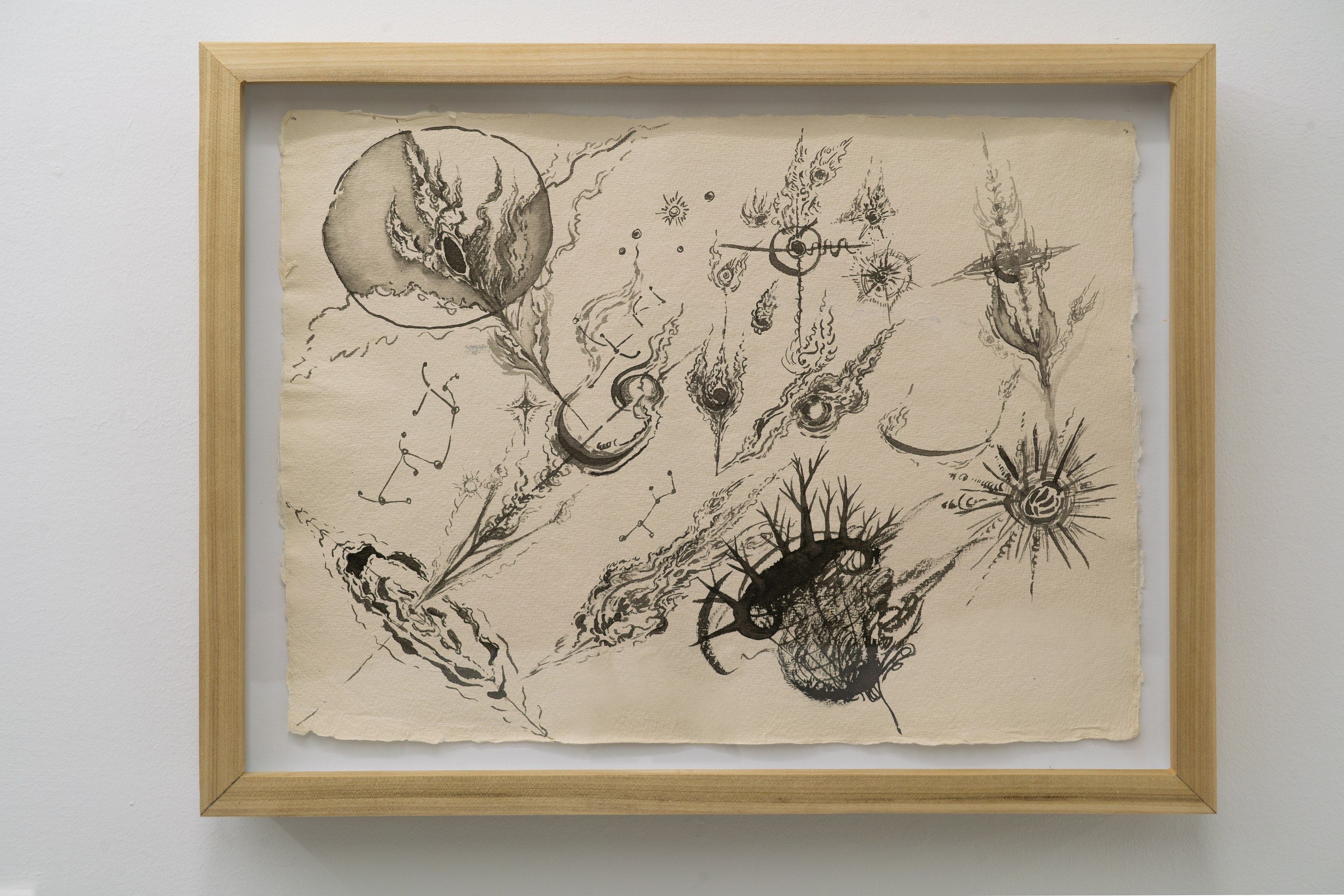 Ingrid Yi-Chen Lu, These lines grow like trees around your crown of sky at Gern en Regalia, photo 38