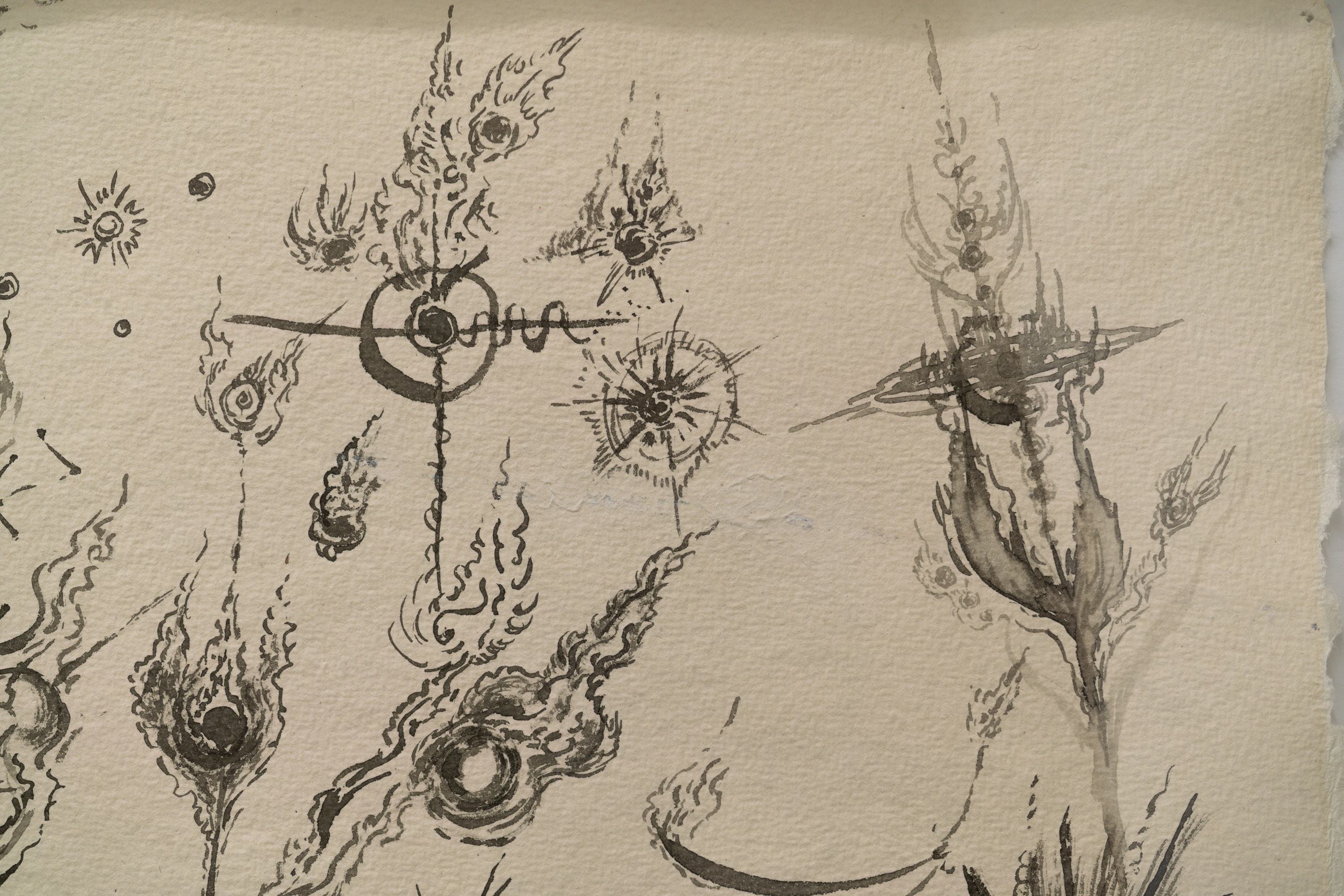 Ingrid Yi-Chen Lu, These lines grow like trees around your crown of sky at Gern en Regalia, photo 40
