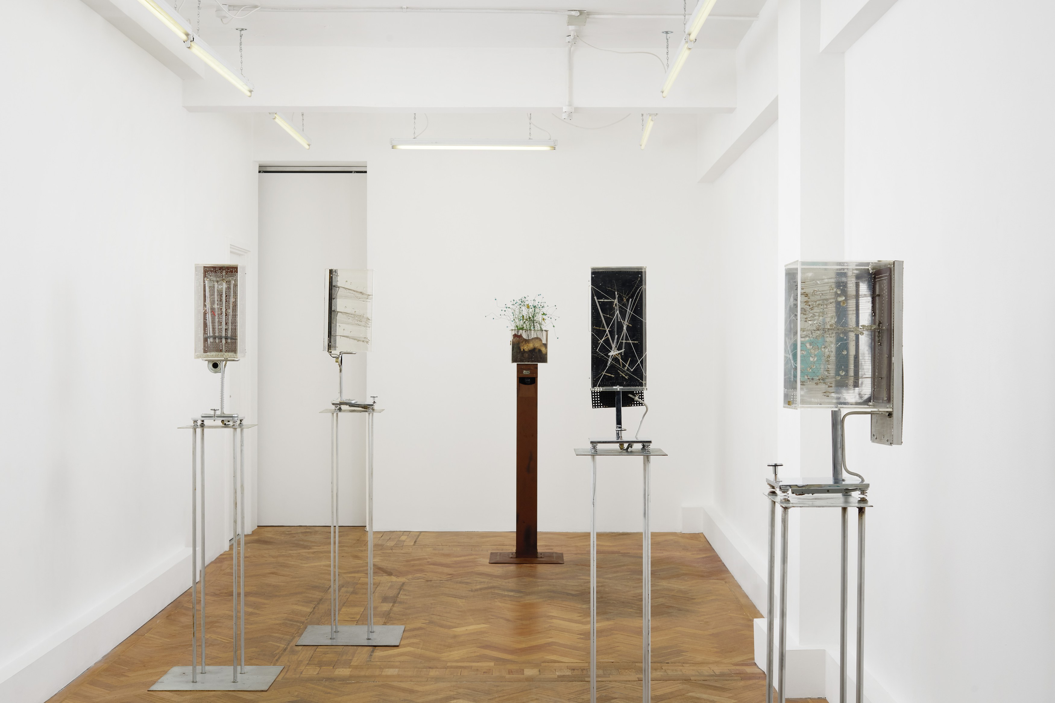 Irma Hünerfauth, Untitled at Arcadia Missa, photo 2