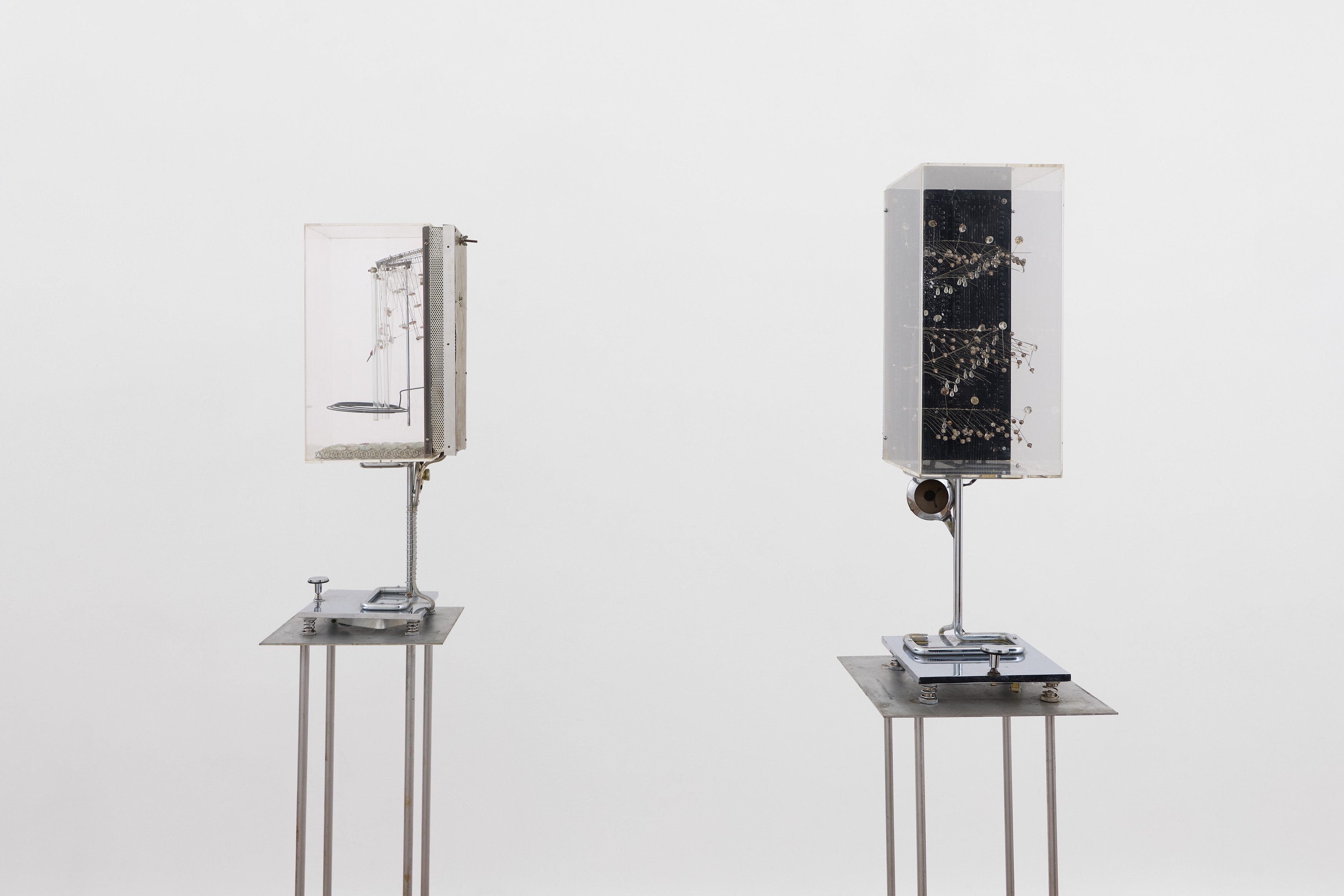 Irma Hünerfauth, Untitled at Arcadia Missa, photo 3