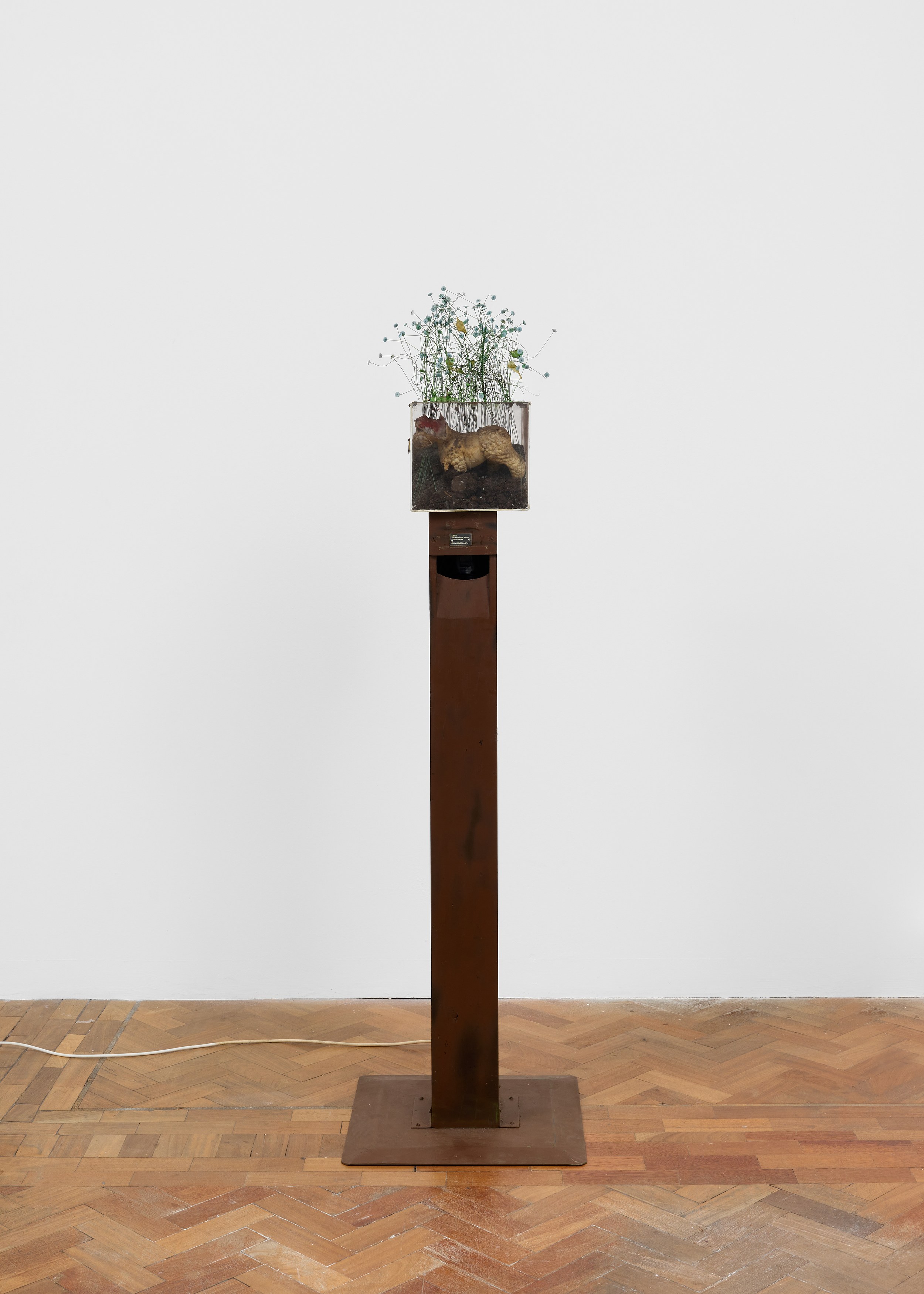 Irma Hünerfauth, Untitled at Arcadia Missa, photo 19