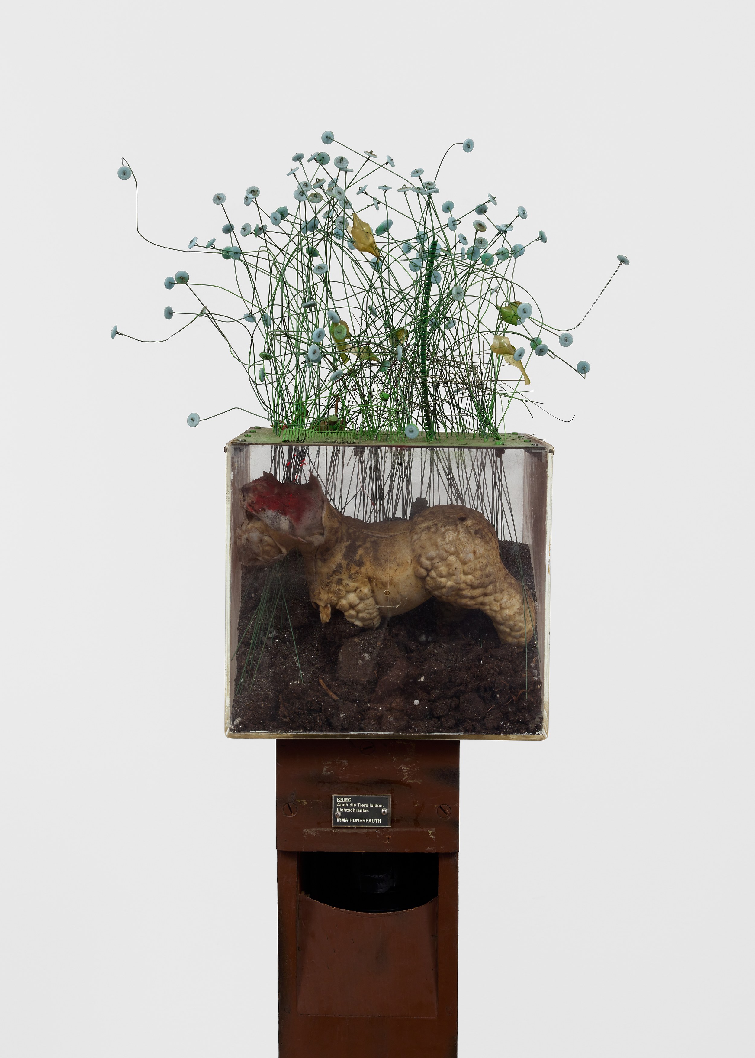 Irma Hünerfauth, Untitled at Arcadia Missa, photo 21