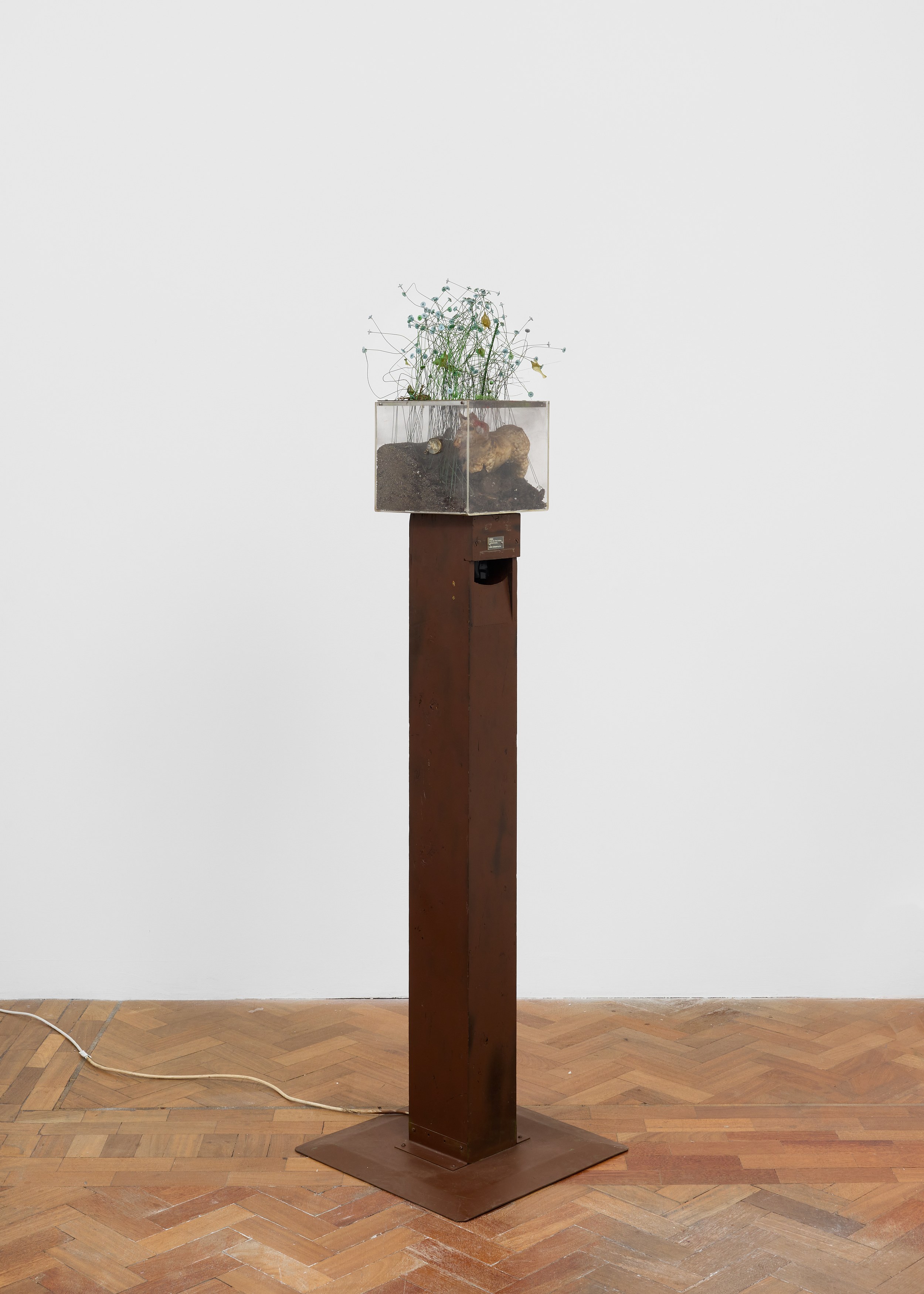 Irma Hünerfauth, Untitled at Arcadia Missa, photo 20