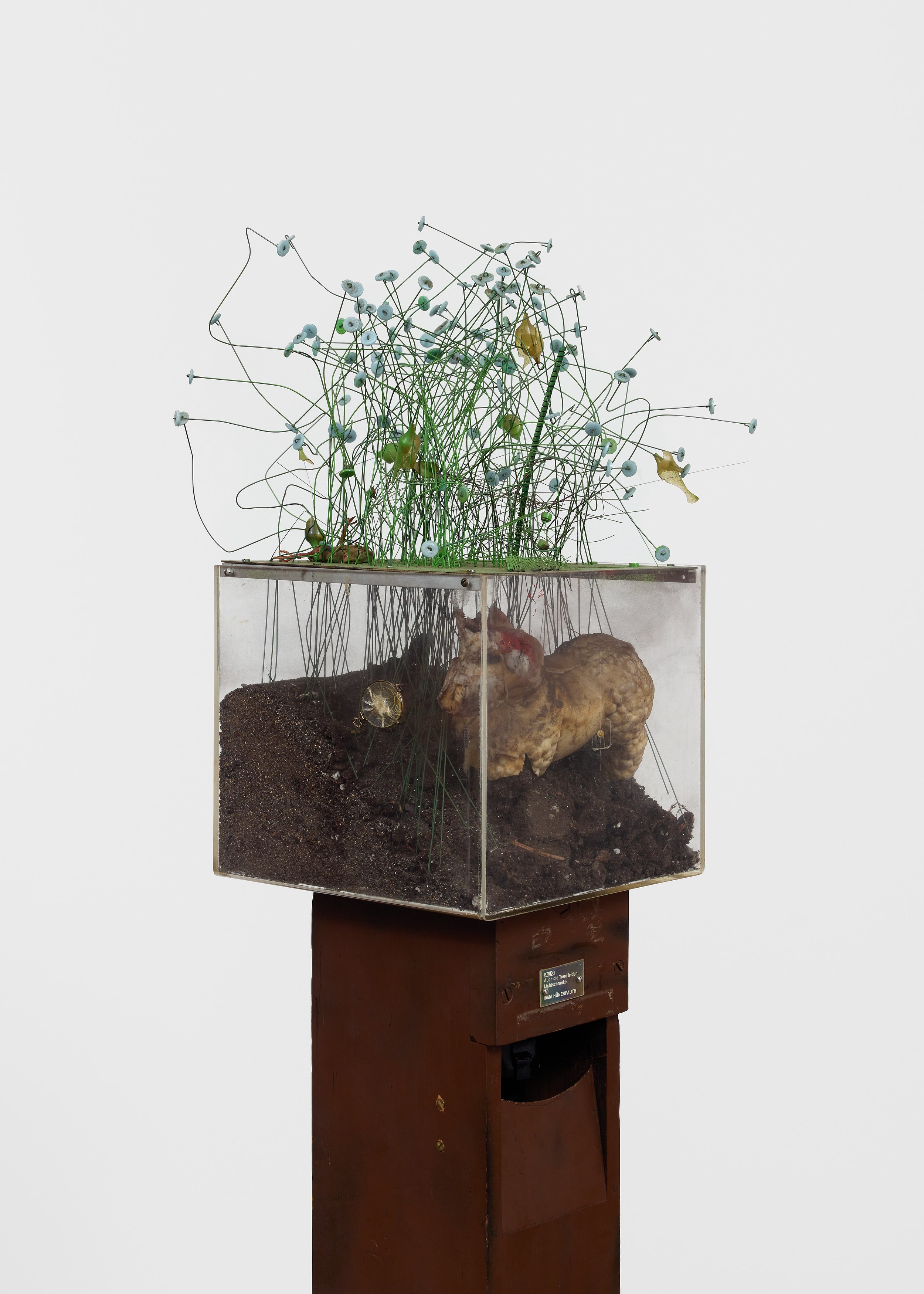 Irma Hünerfauth, Untitled at Arcadia Missa, photo 23