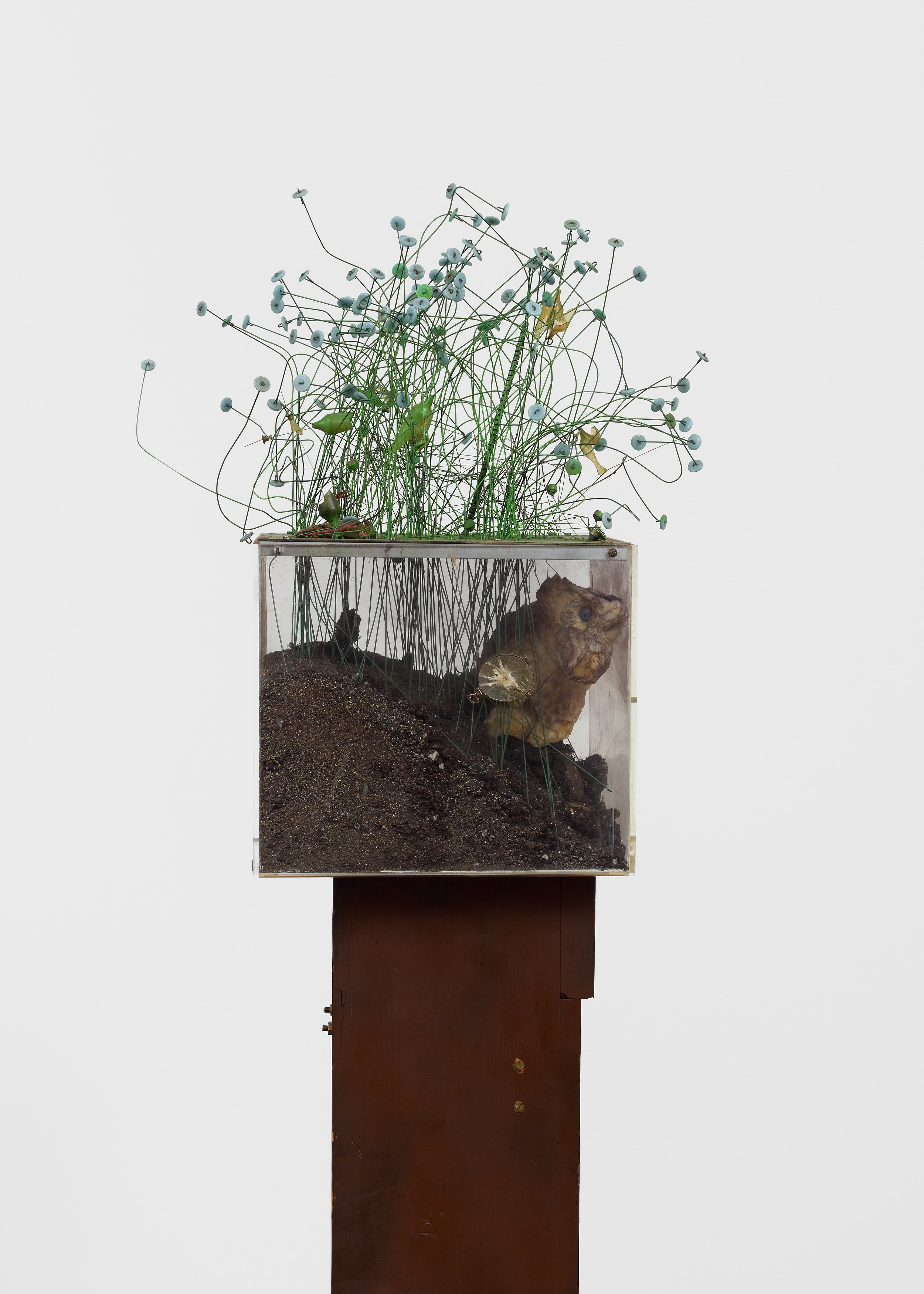 Irma Hünerfauth, Untitled at Arcadia Missa, photo 22