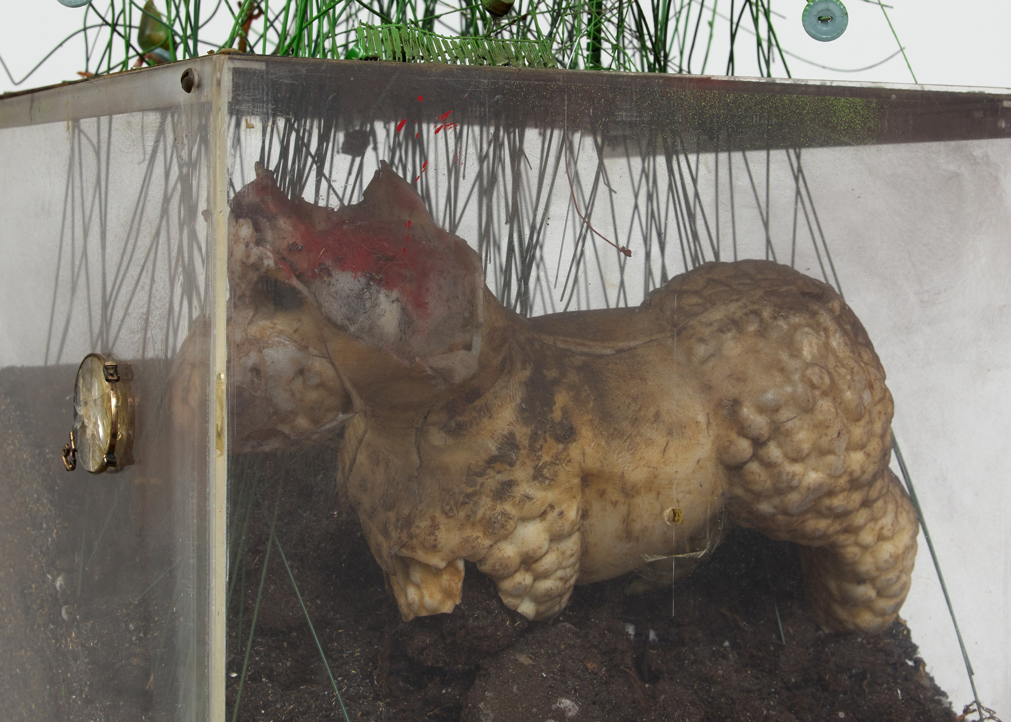 Irma Hünerfauth, Untitled at Arcadia Missa, photo 24