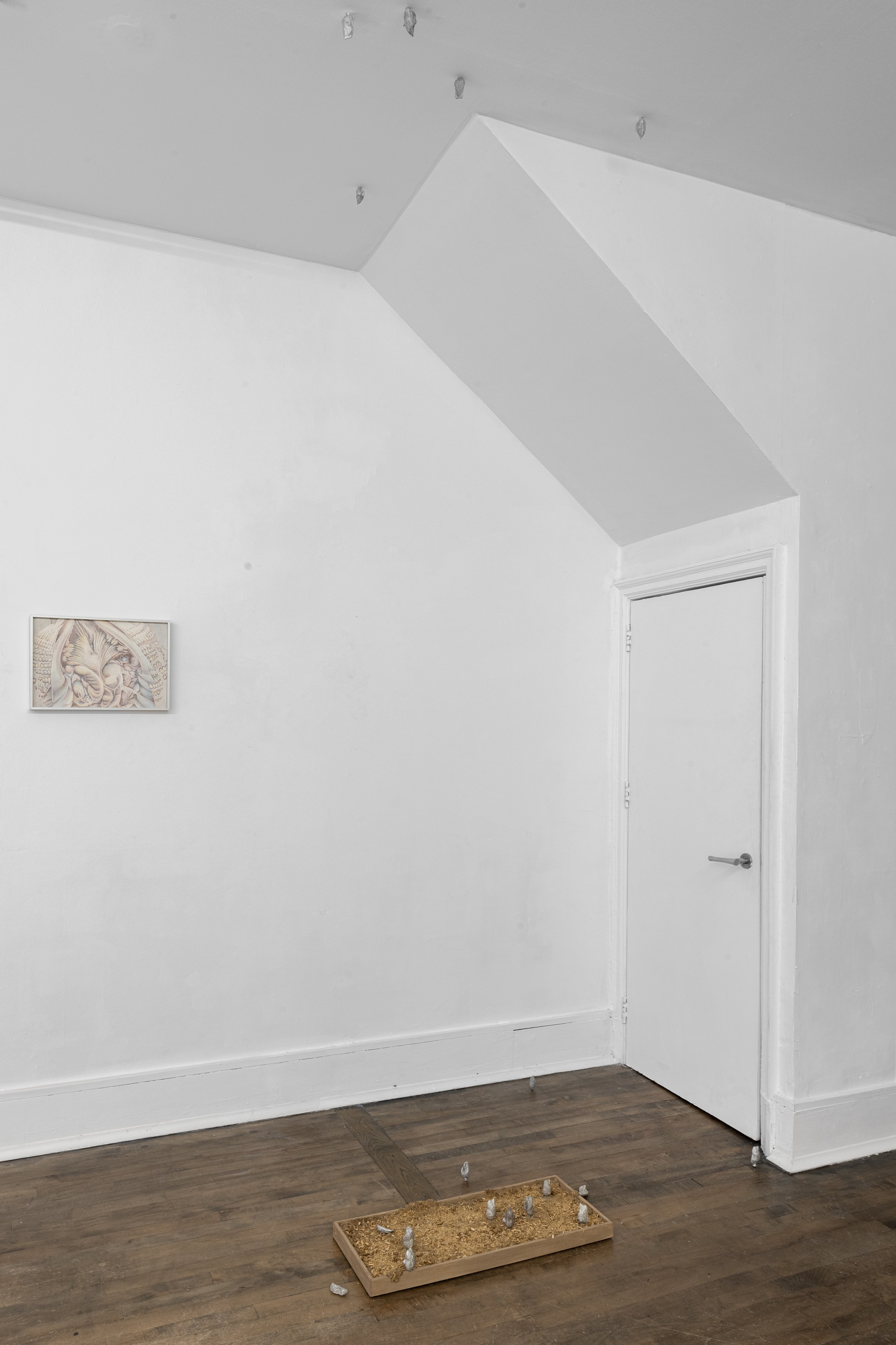 Francesco Pacelli, nineteeneightyseven at DES BAINS, photo 13
