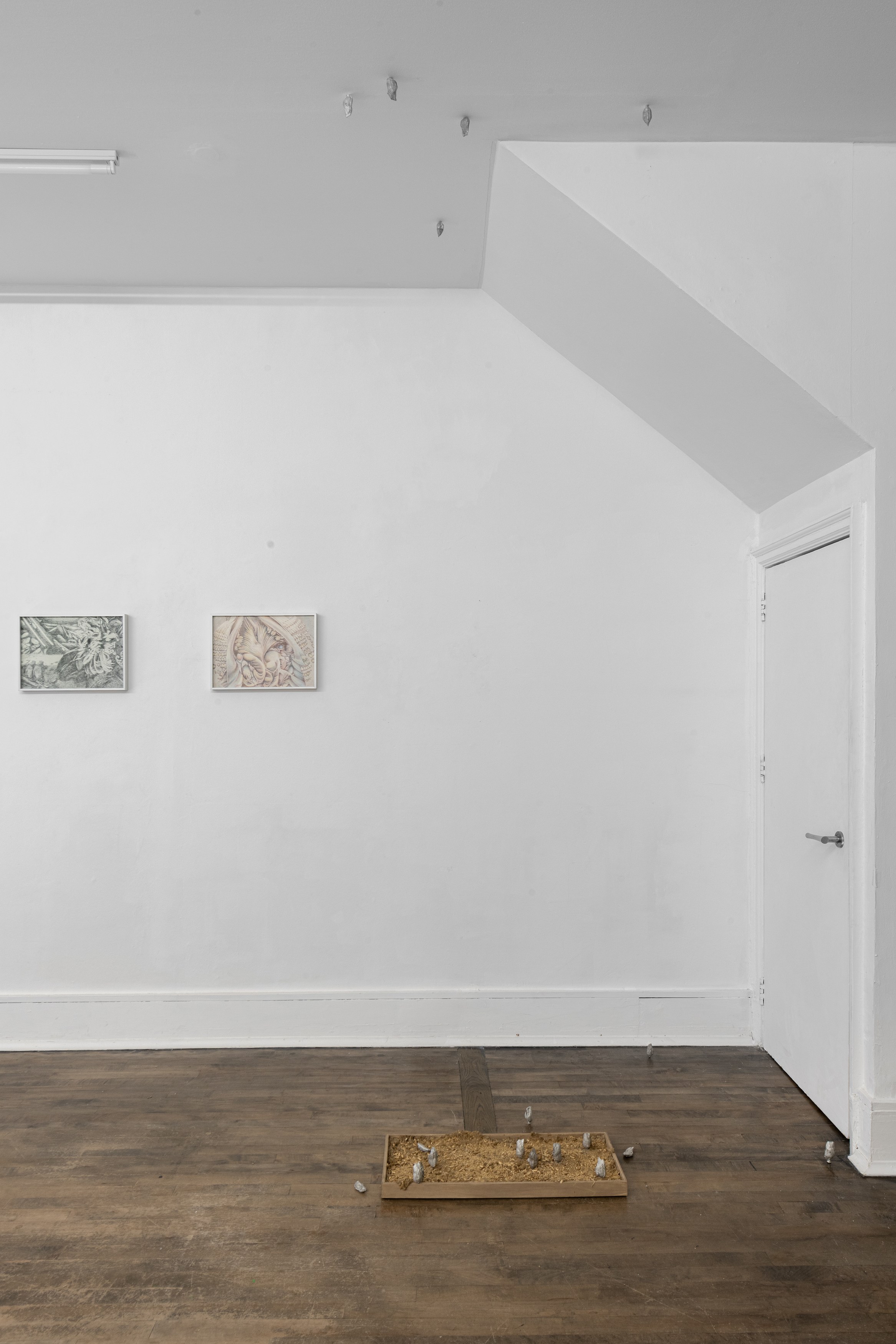 Francesco Pacelli, nineteeneightyseven at DES BAINS, photo 14