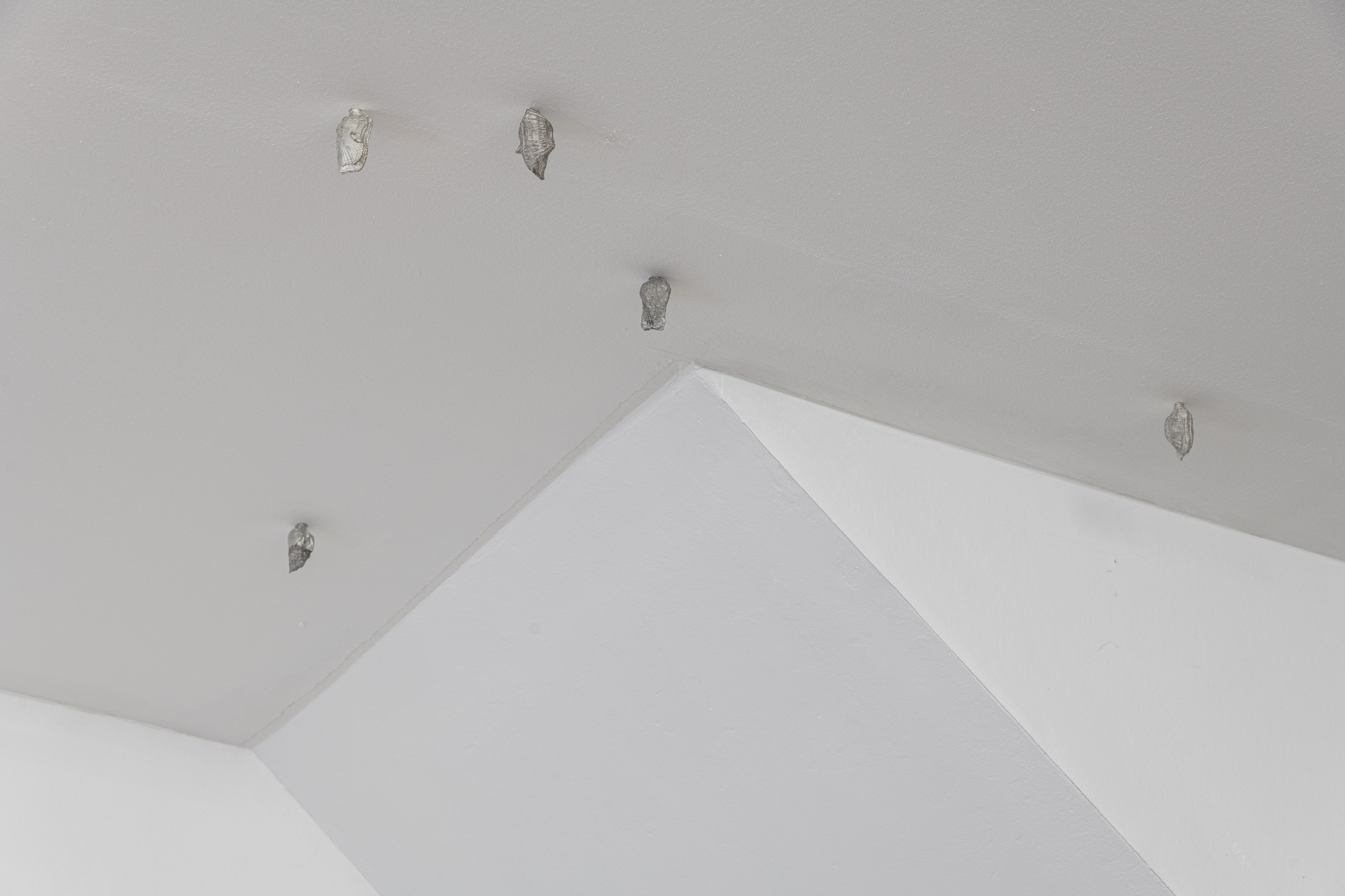 Francesco Pacelli, nineteeneightyseven at DES BAINS, photo 16