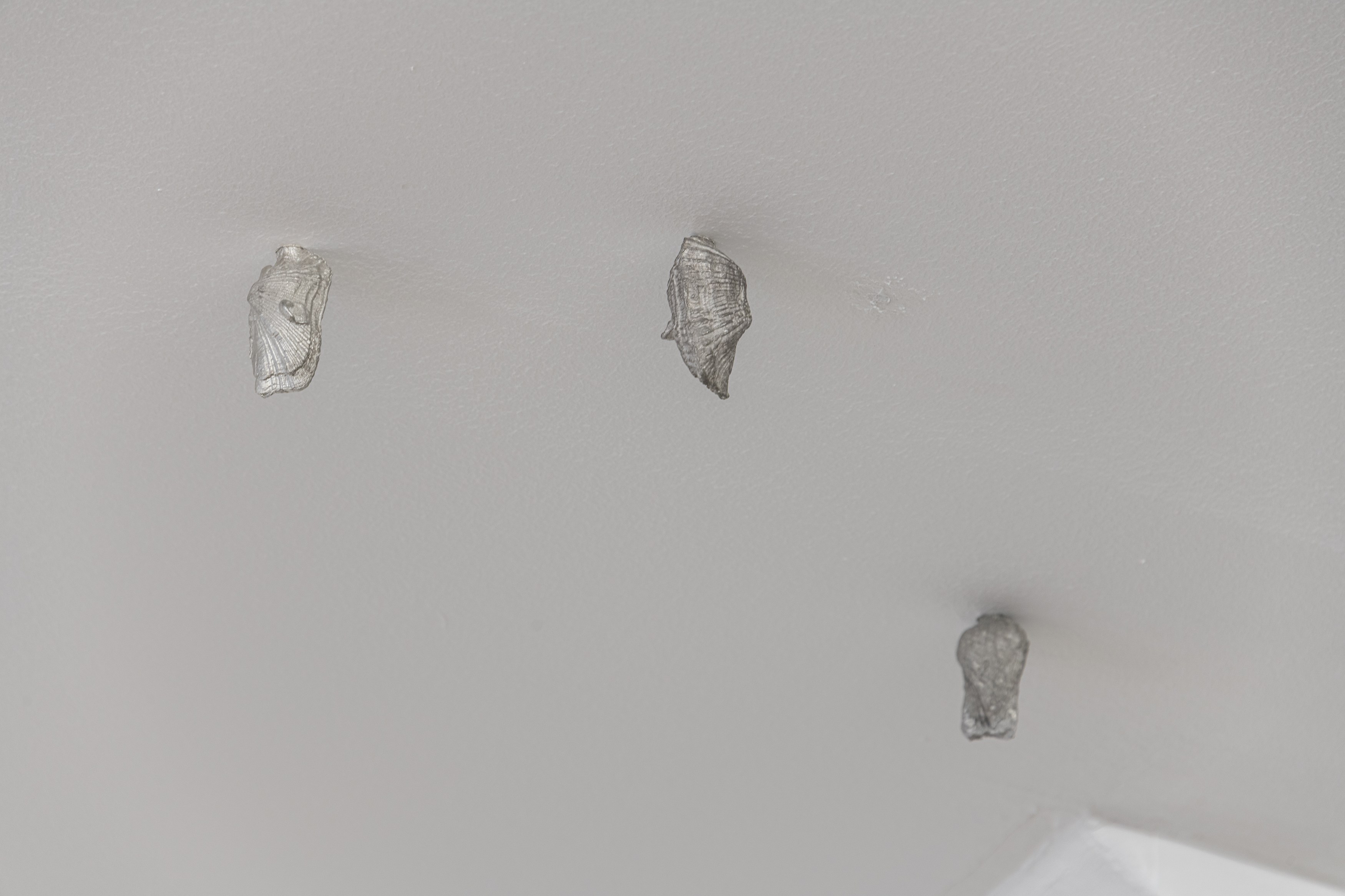 Francesco Pacelli, nineteeneightyseven at DES BAINS, photo 17