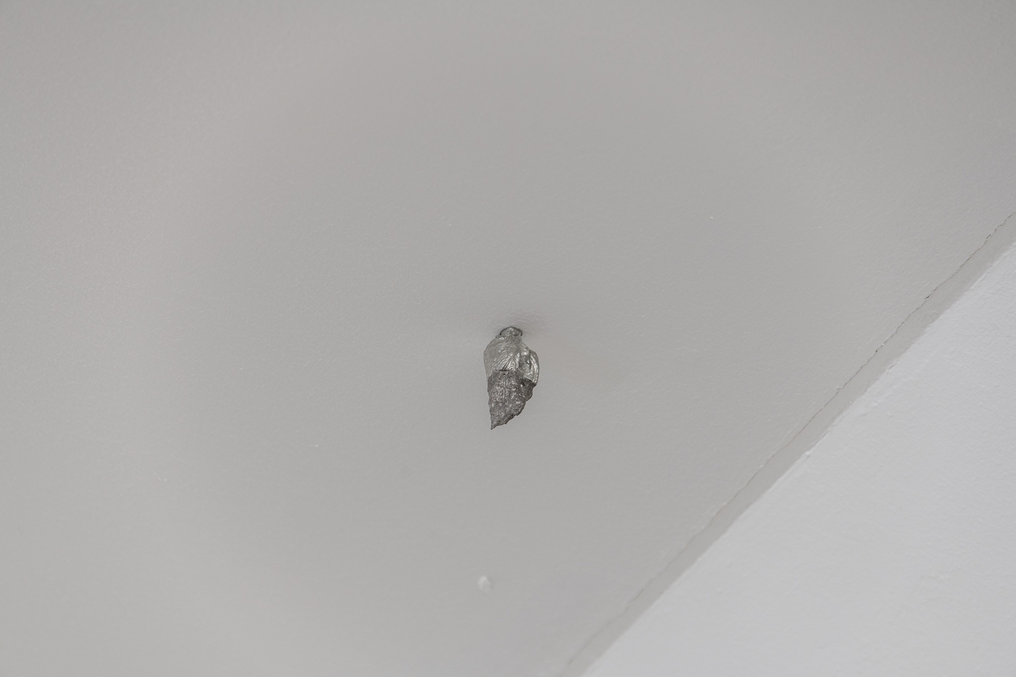 Francesco Pacelli, nineteeneightyseven at DES BAINS, photo 19