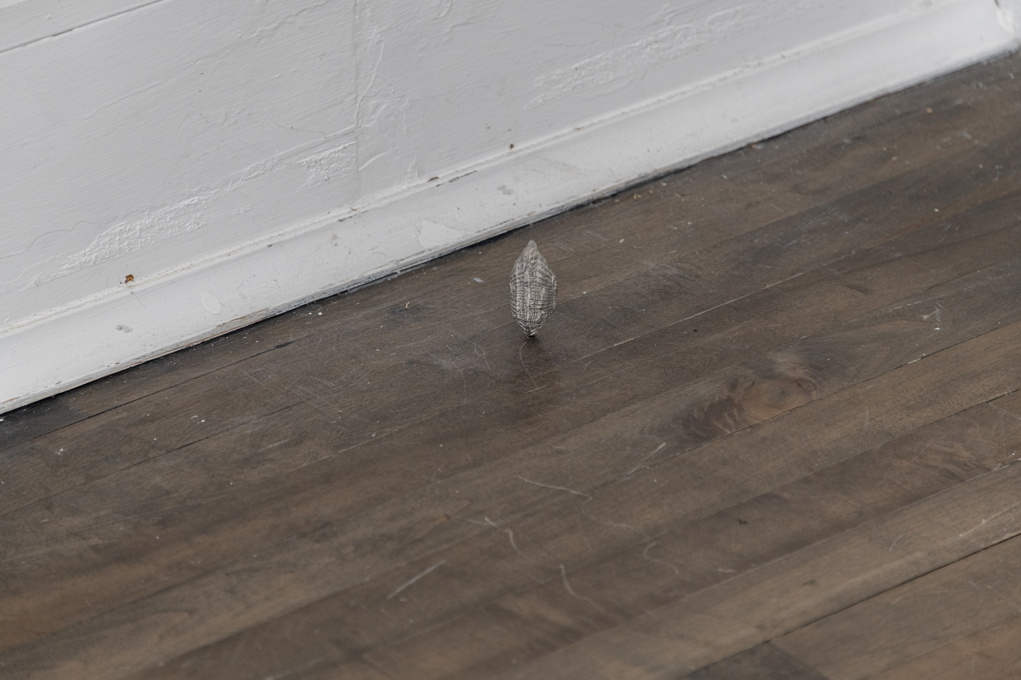 Francesco Pacelli, nineteeneightyseven at DES BAINS, photo 20