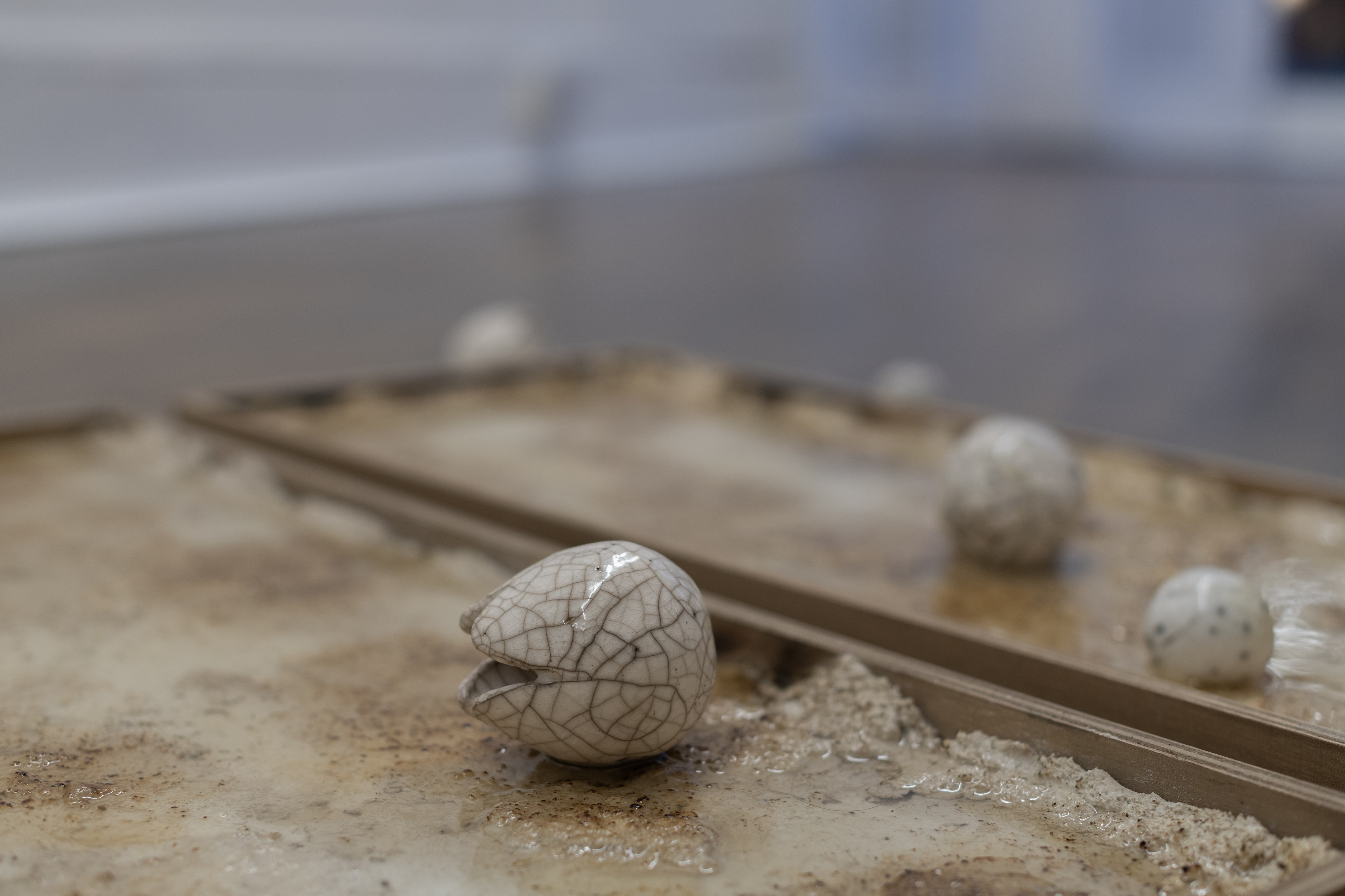 Francesco Pacelli, nineteeneightyseven at DES BAINS, photo 31