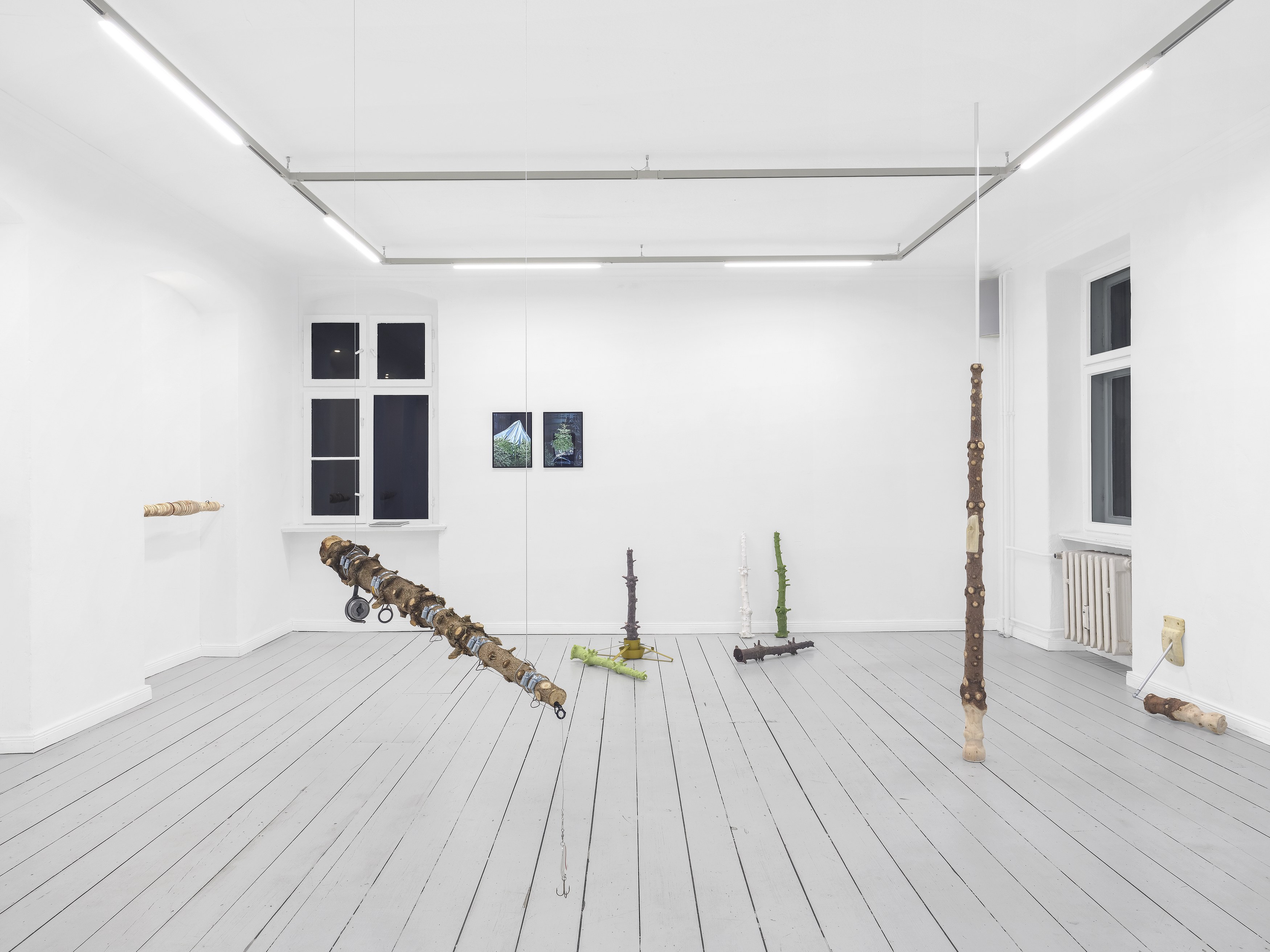 Andi Fischer, image 4 of 30