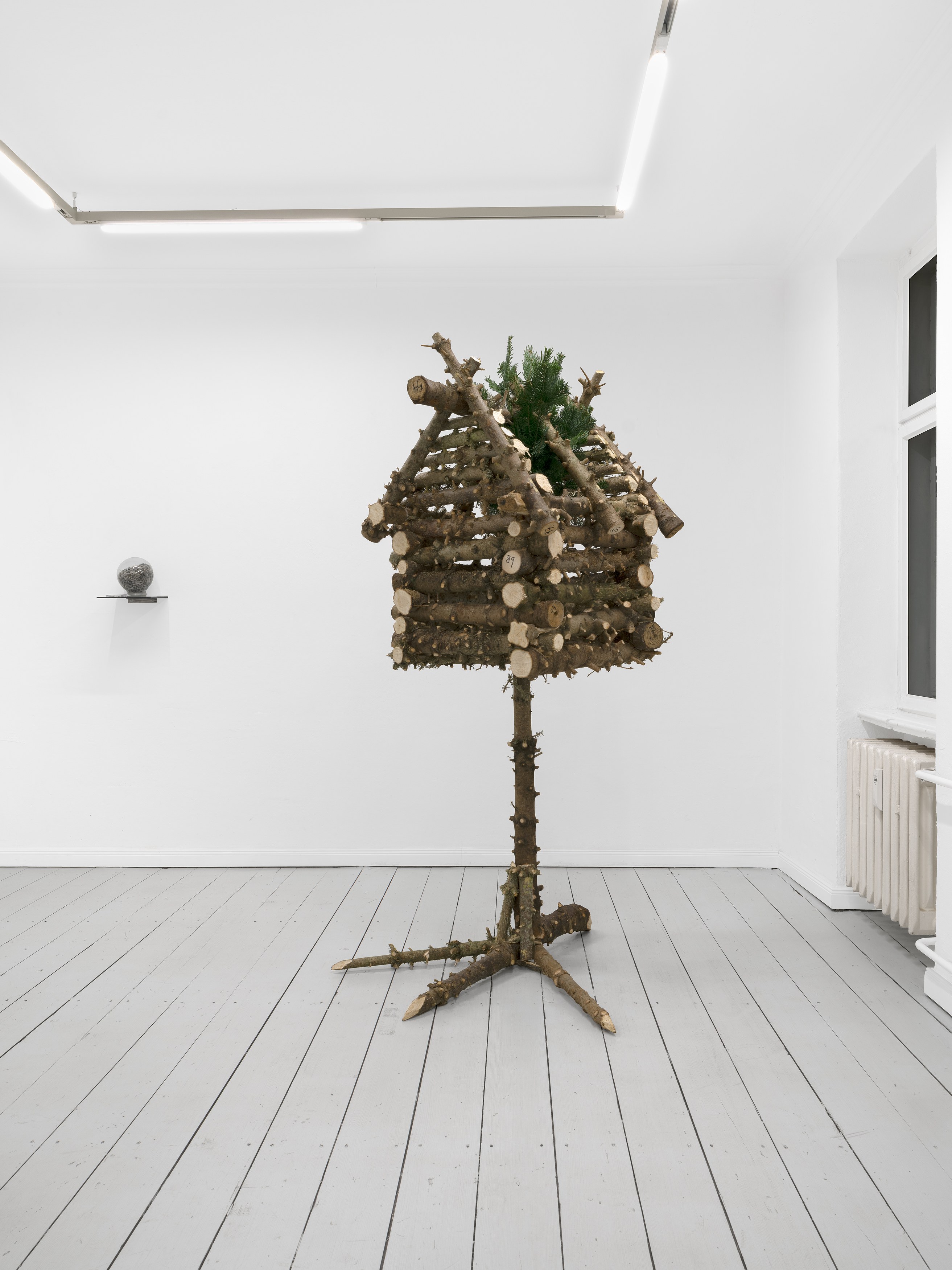 Andi Fischer, image 7 of 30