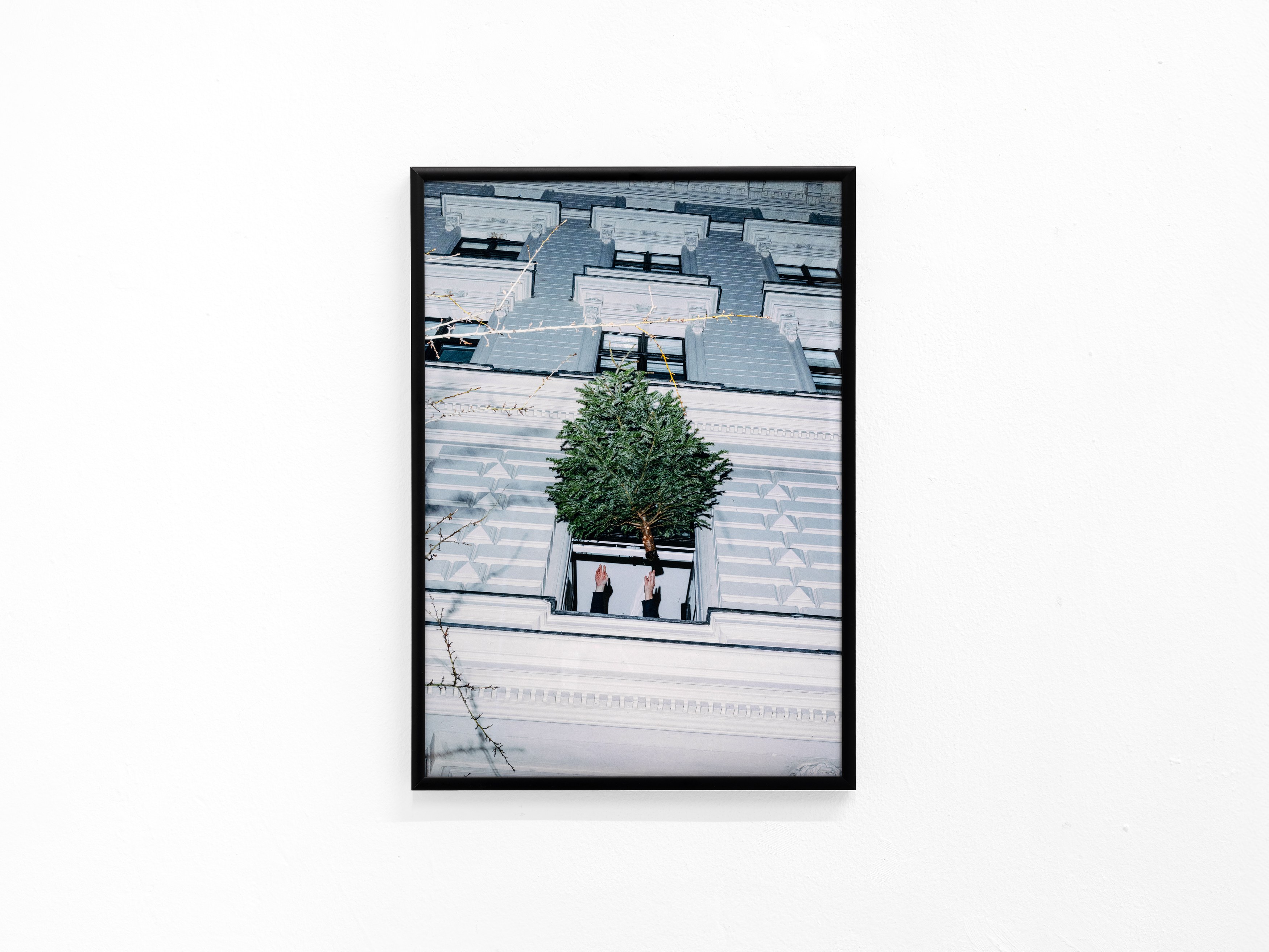 Andi Fischer, image 12 of 30
