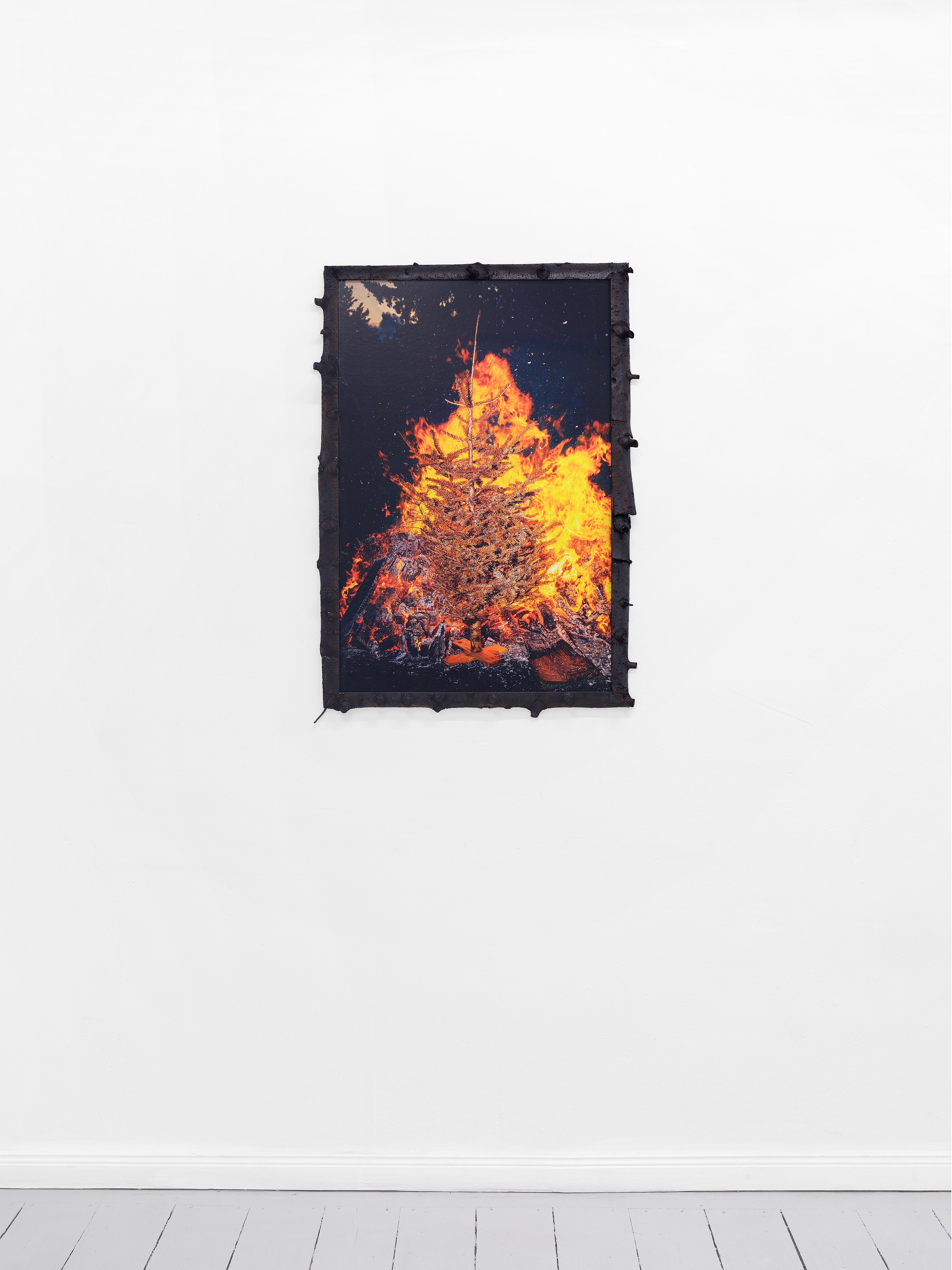 Andi Fischer, image 13 of 30