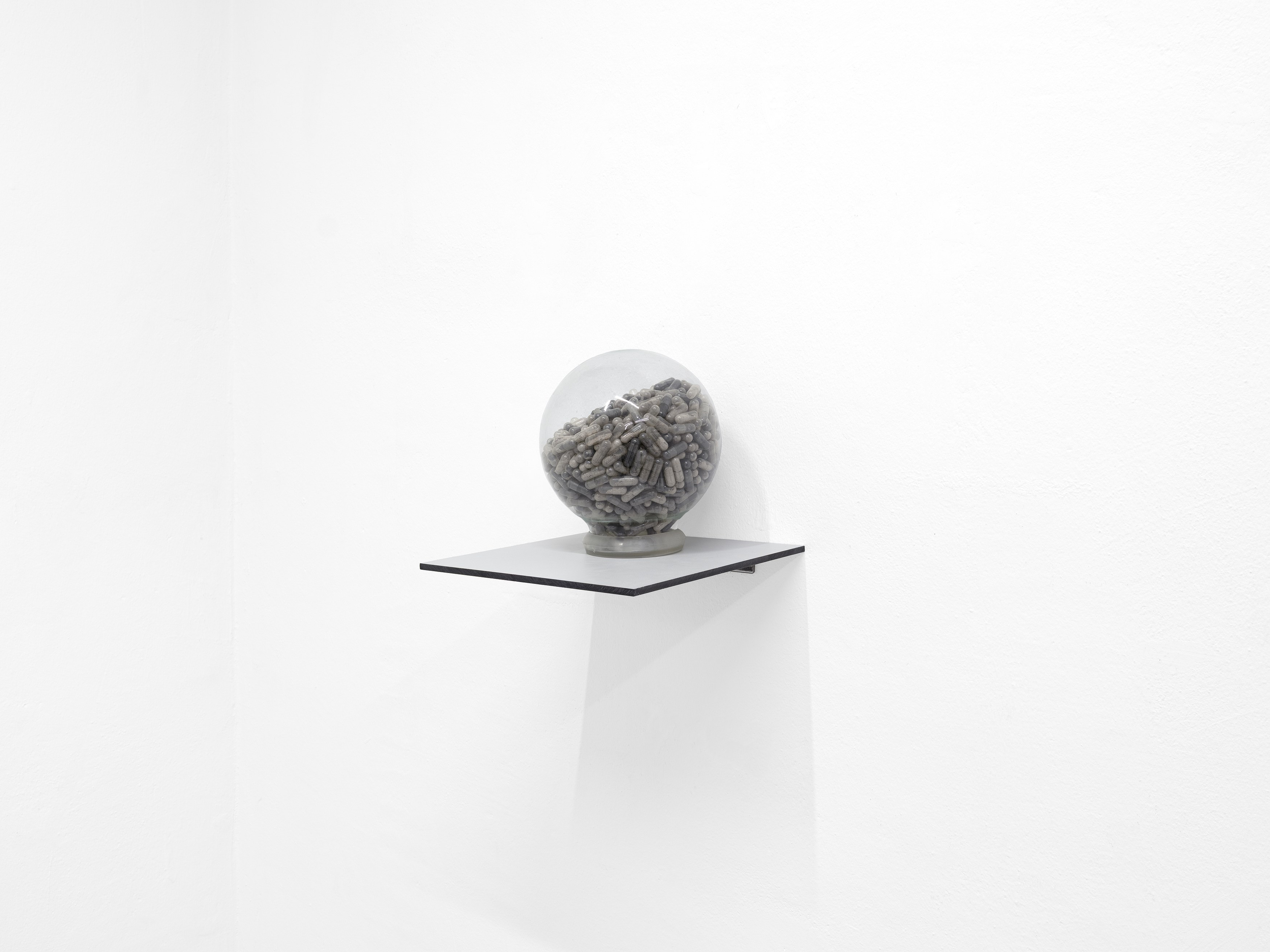 Andi Fischer, image 19 of 30