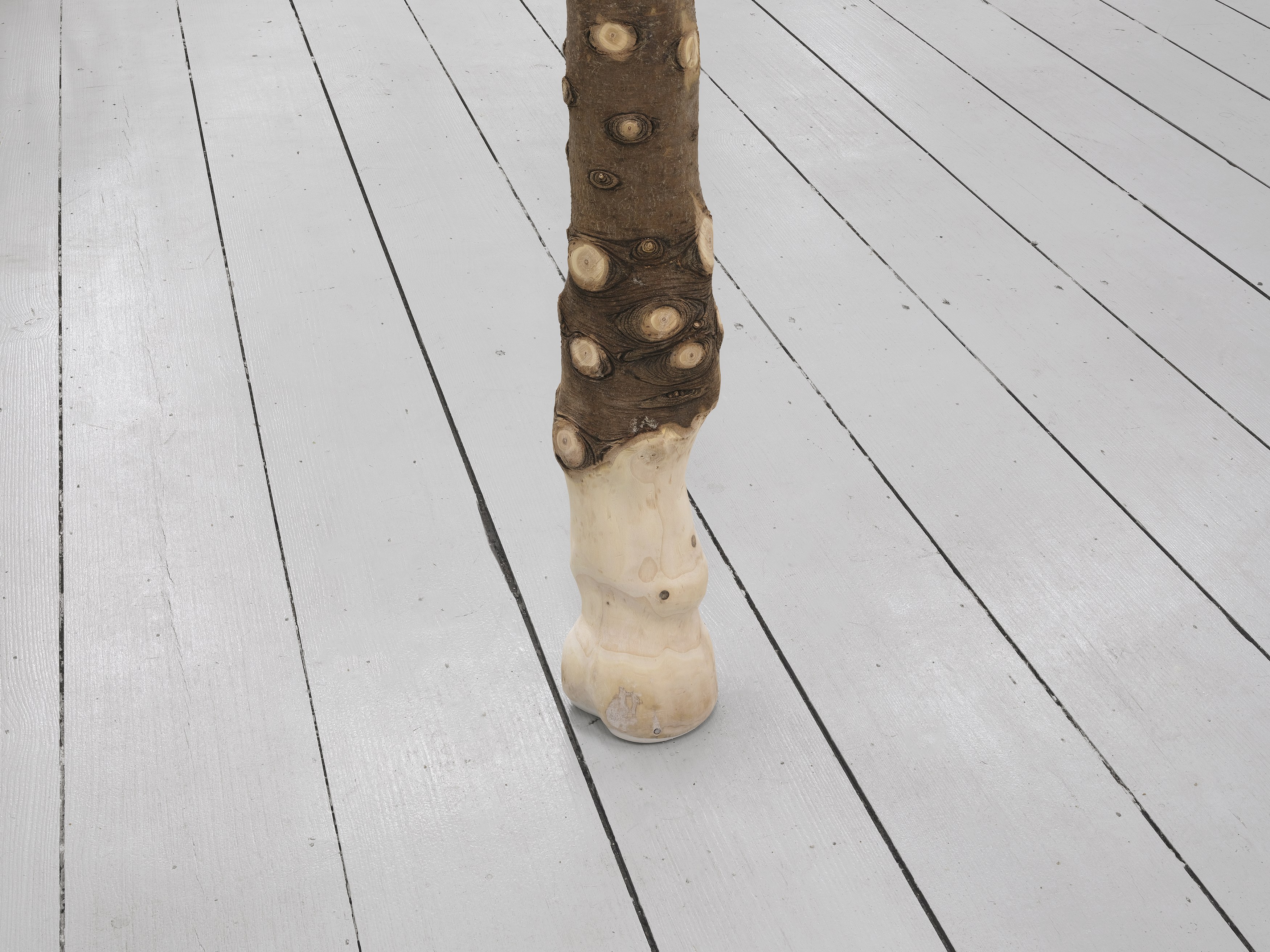 Andi Fischer, image 18 of 30