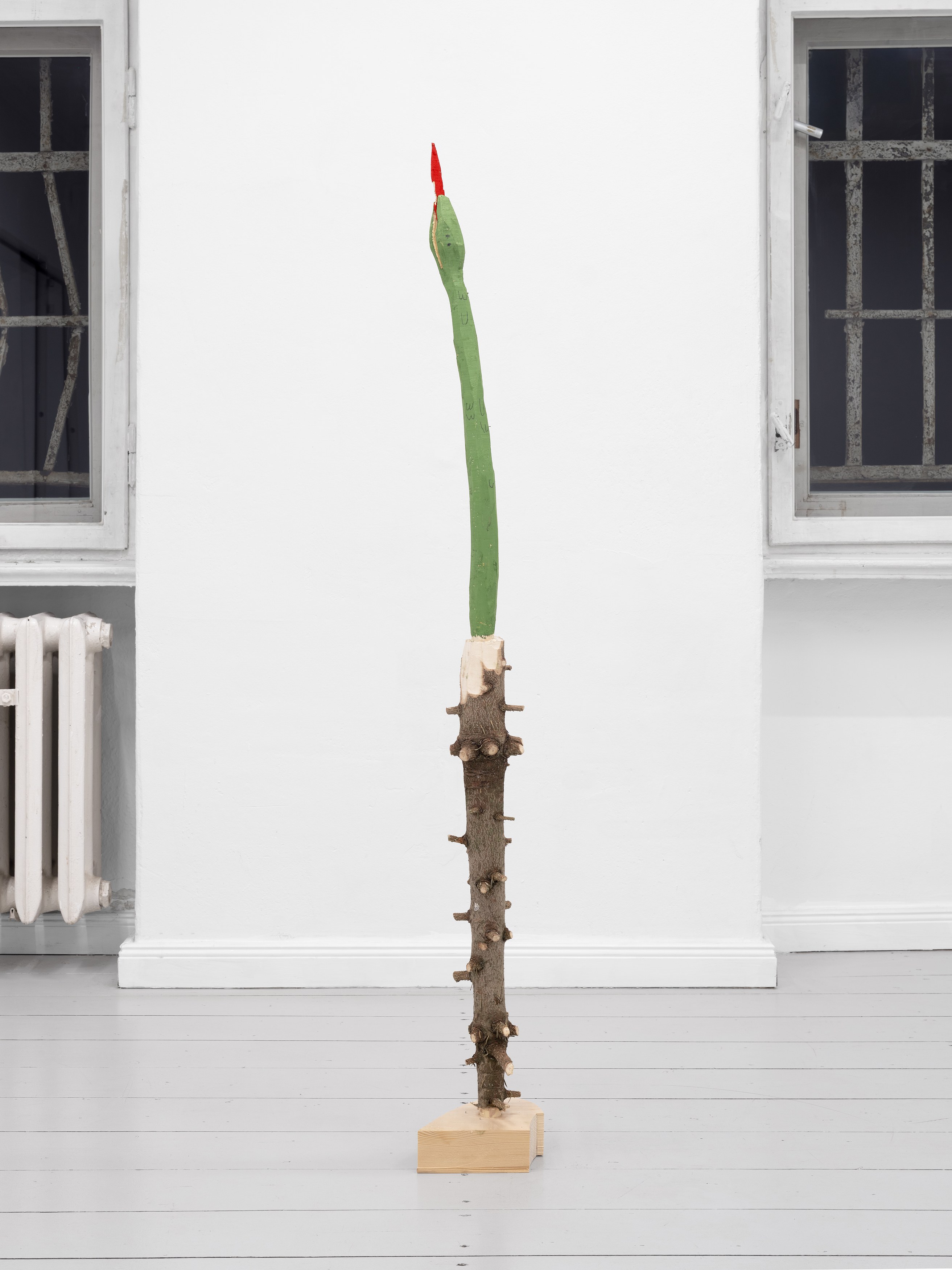 Andi Fischer, image 20 of 30