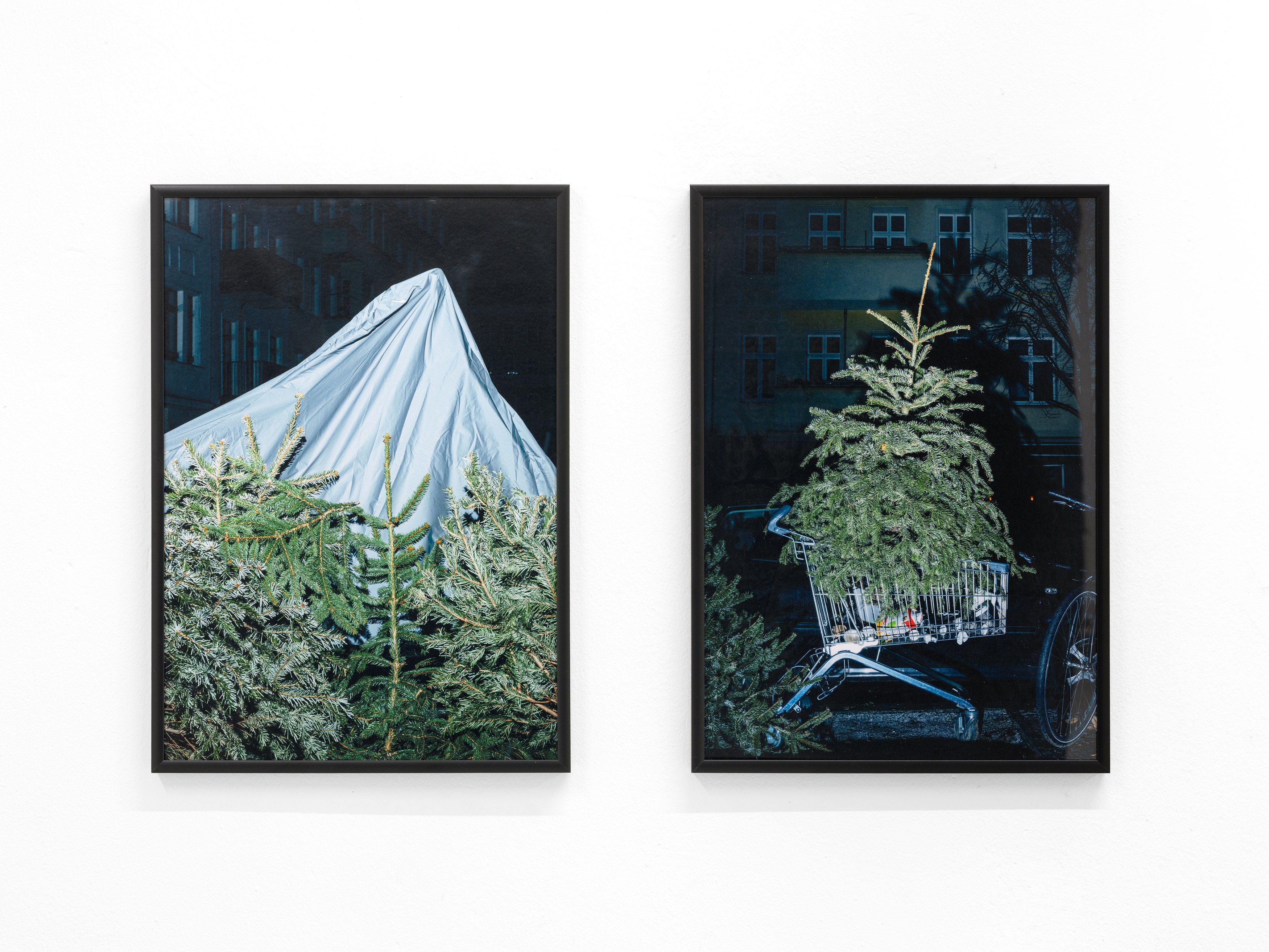 Andi Fischer, image 22 of 30
