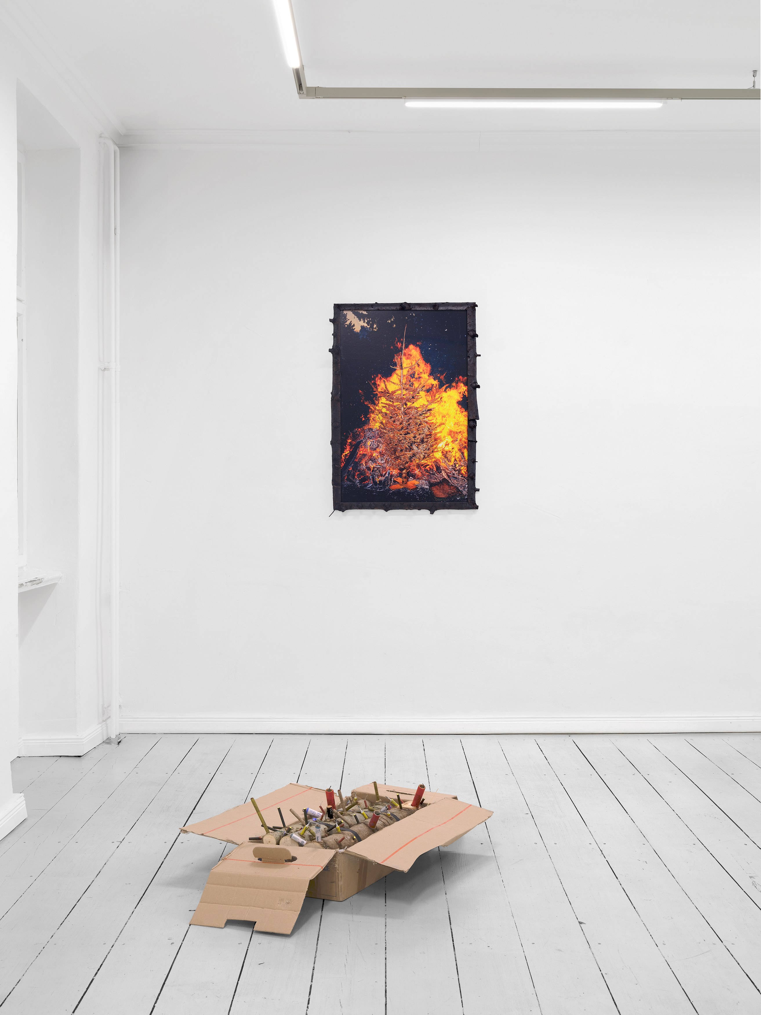 Andi Fischer, image 24 of 30