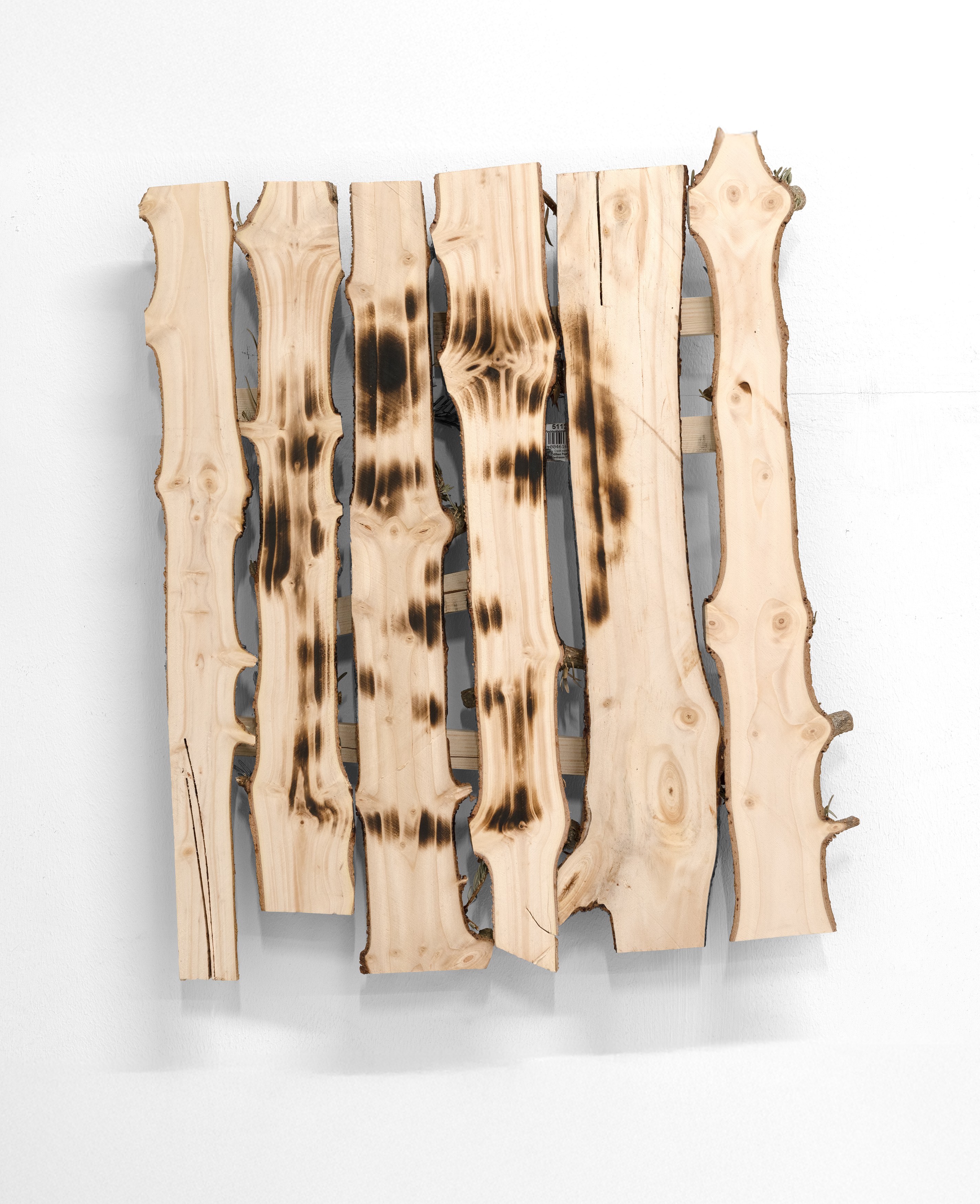 Andi Fischer, image 25 of 30