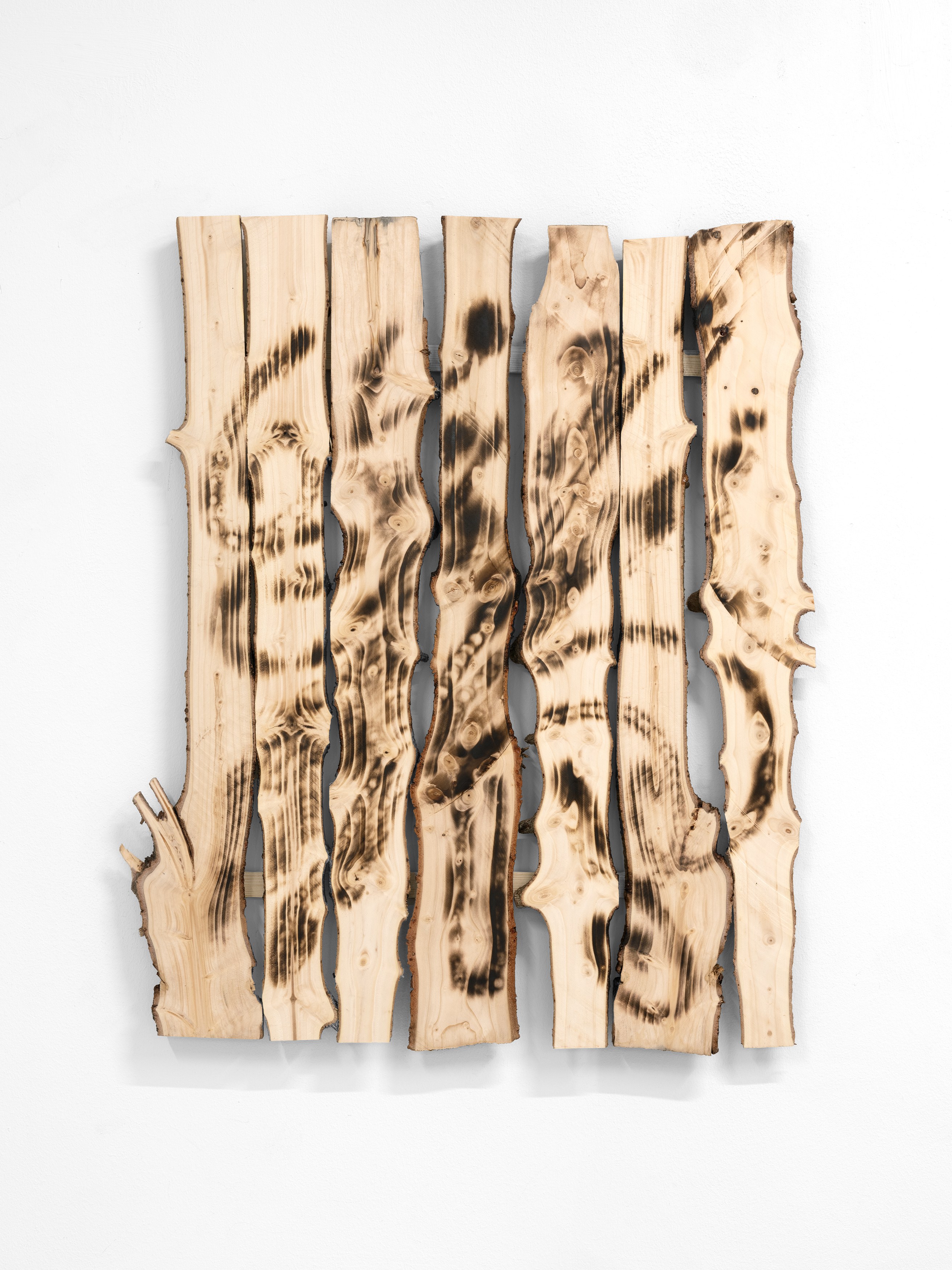 Andi Fischer, image 26 of 30