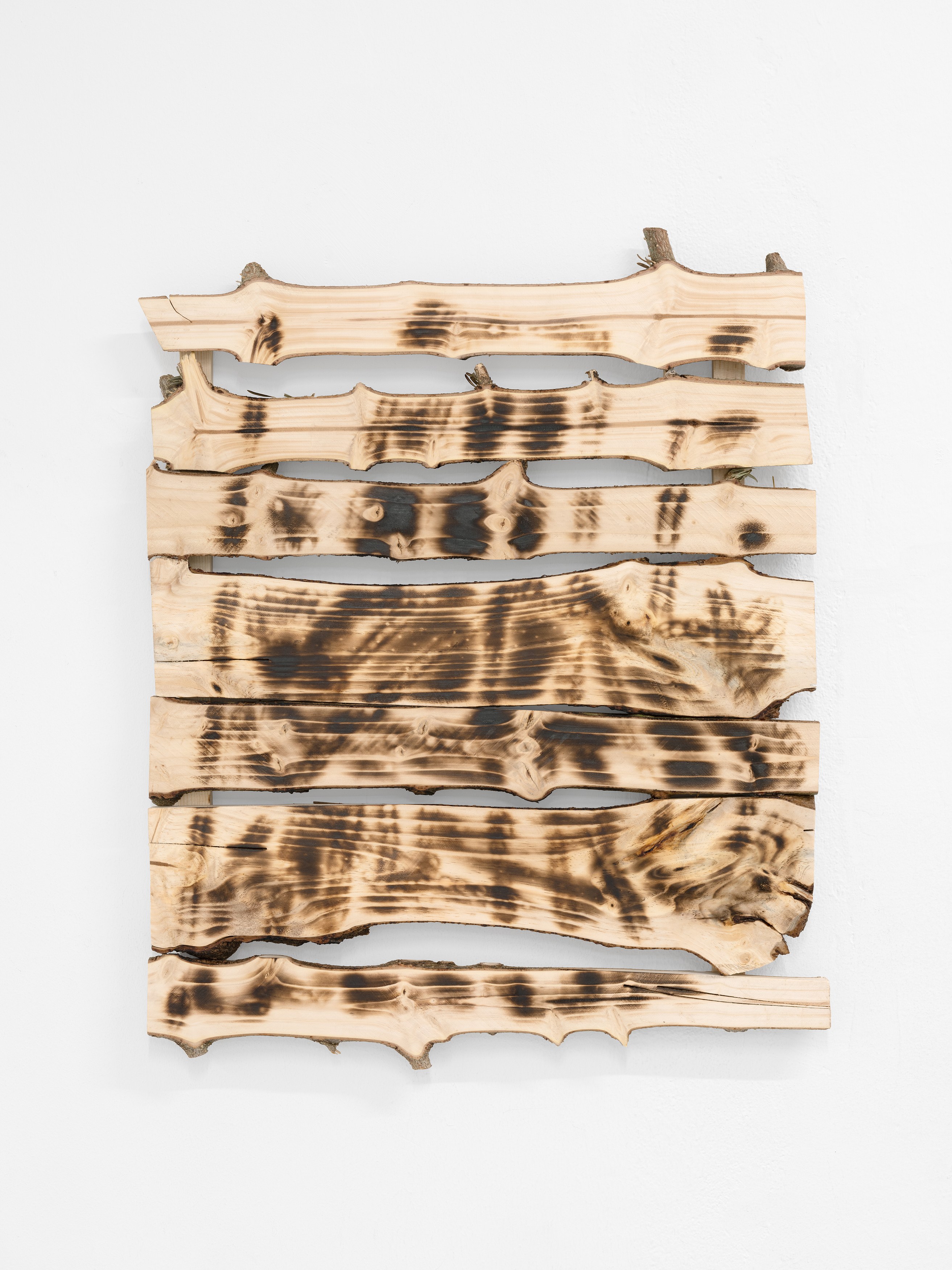 Andi Fischer, image 27 of 30