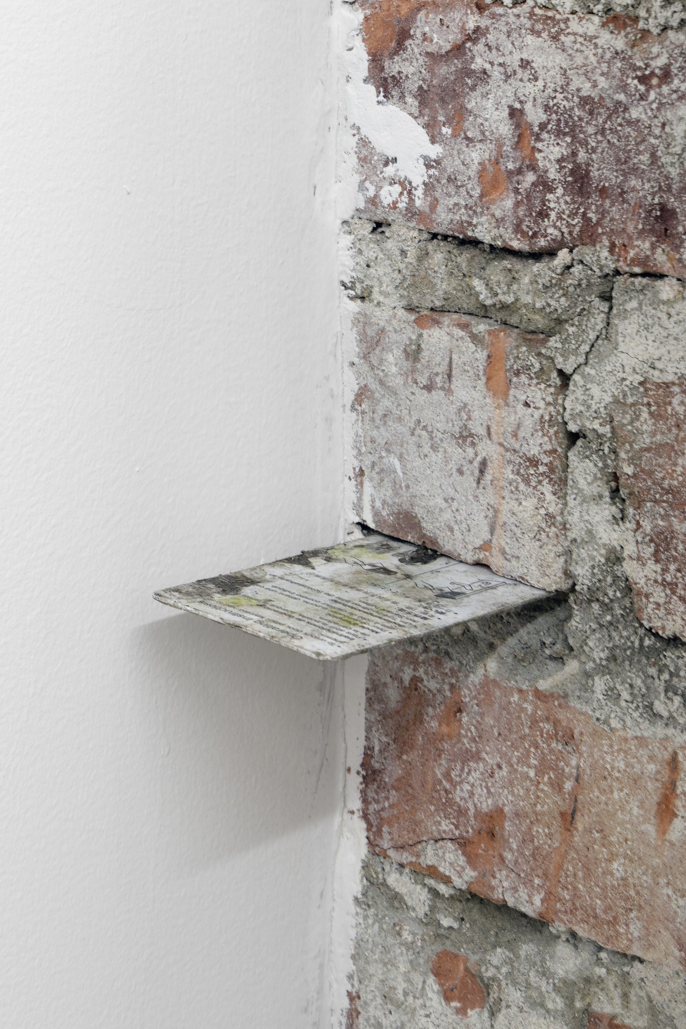 Benjamin Echeverria, Benjamin Echeverria at Francis Irv, photo 9