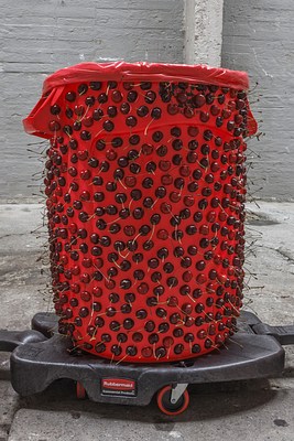 Image 14 of 29