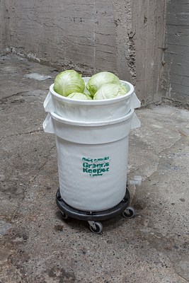 Image 19 of 29