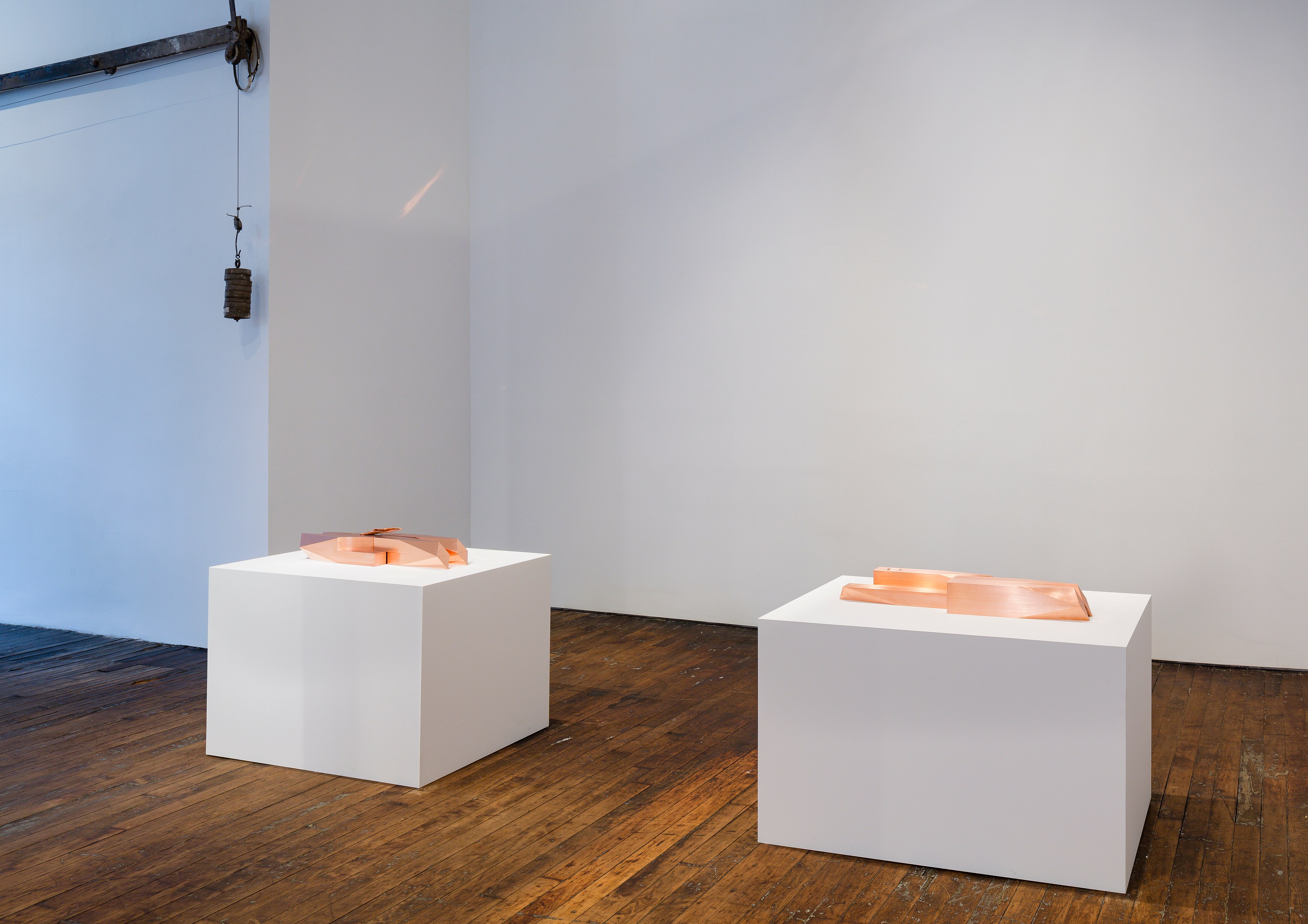 Lucy Skaer, Sentiment at Peter Freeman, photo 4