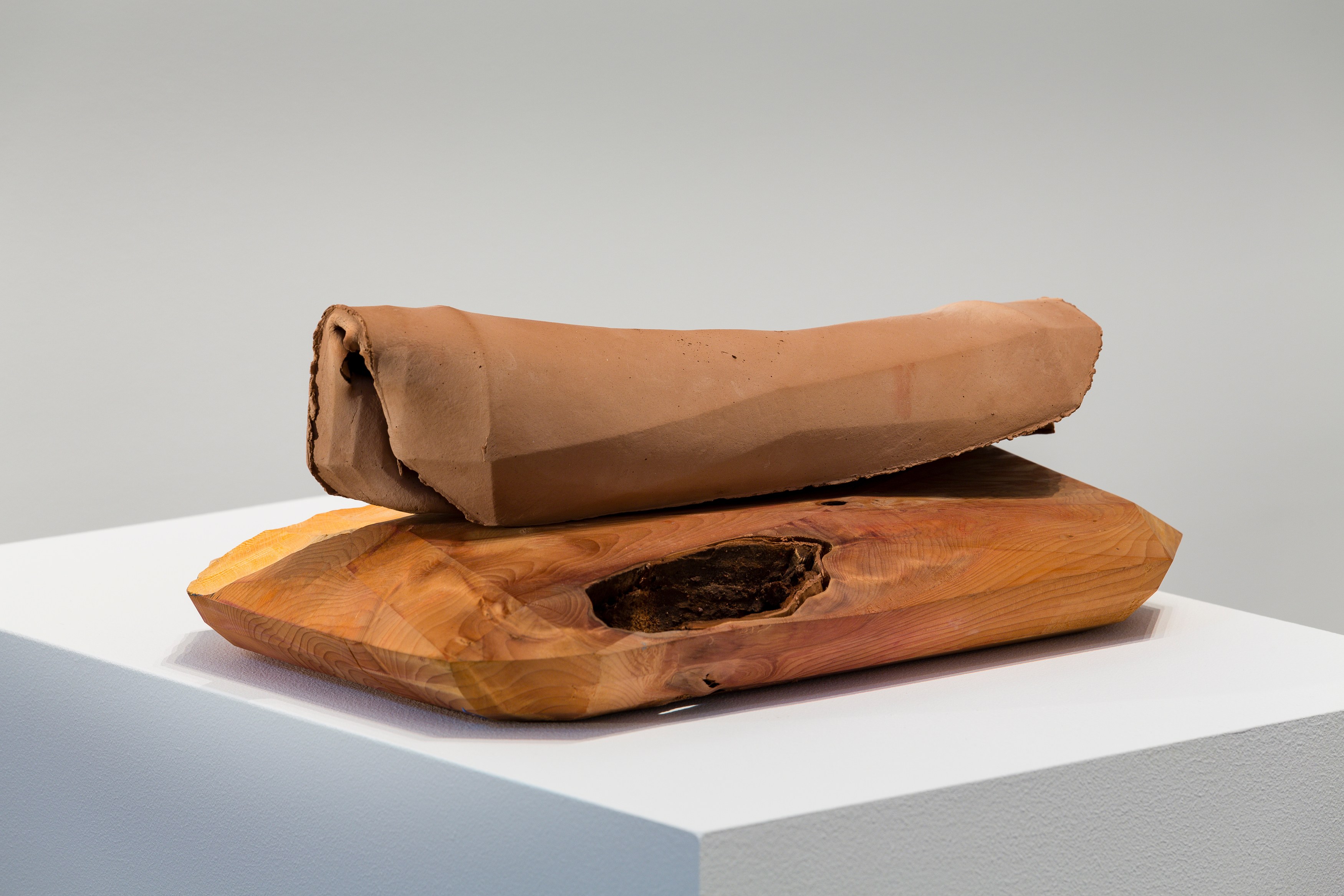 Lucy Skaer, Sentiment at Peter Freeman, photo 19