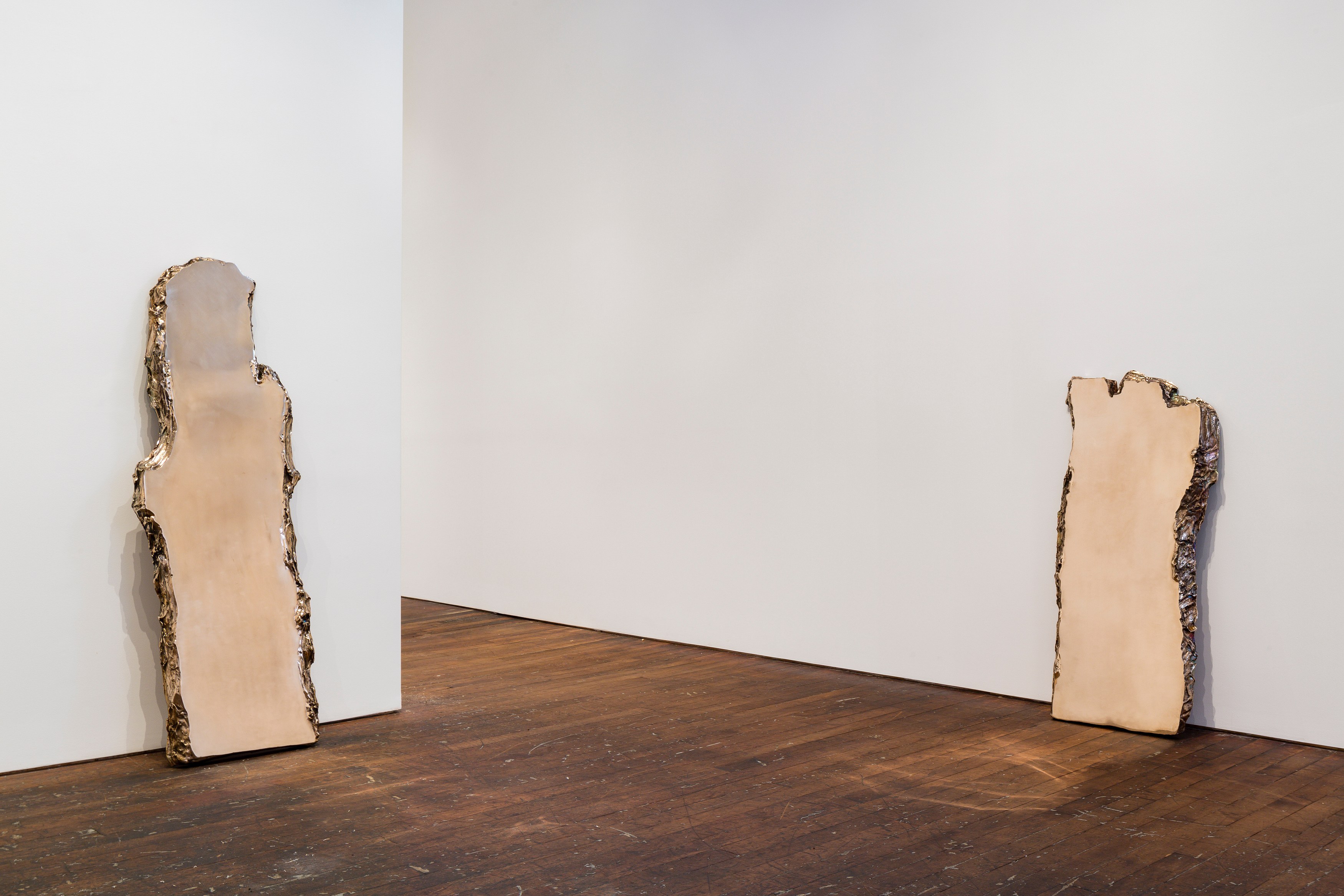 Lucy Skaer, Sentiment at Peter Freeman, photo 20