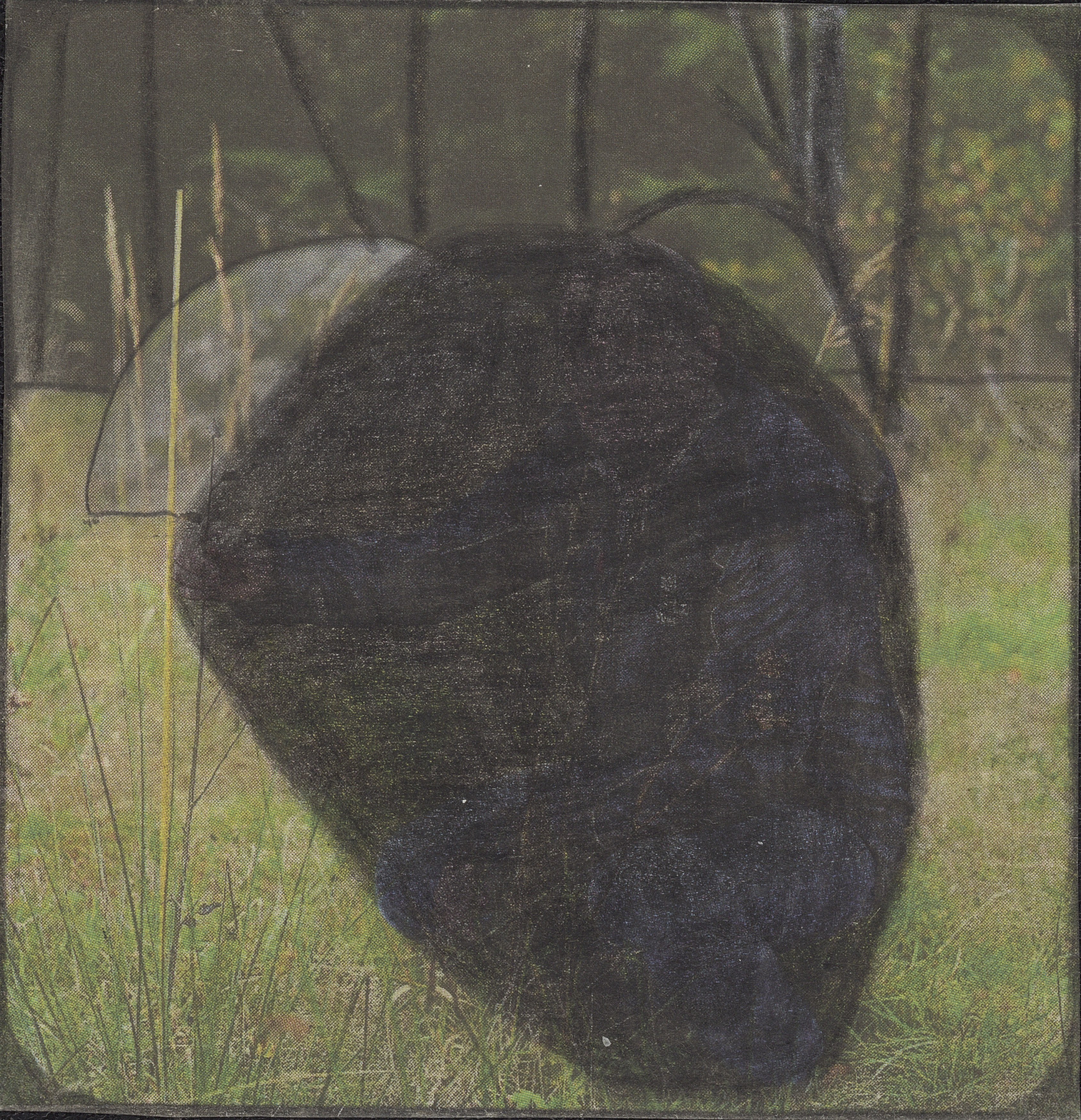 Leopold Strobl, image 16 of 37