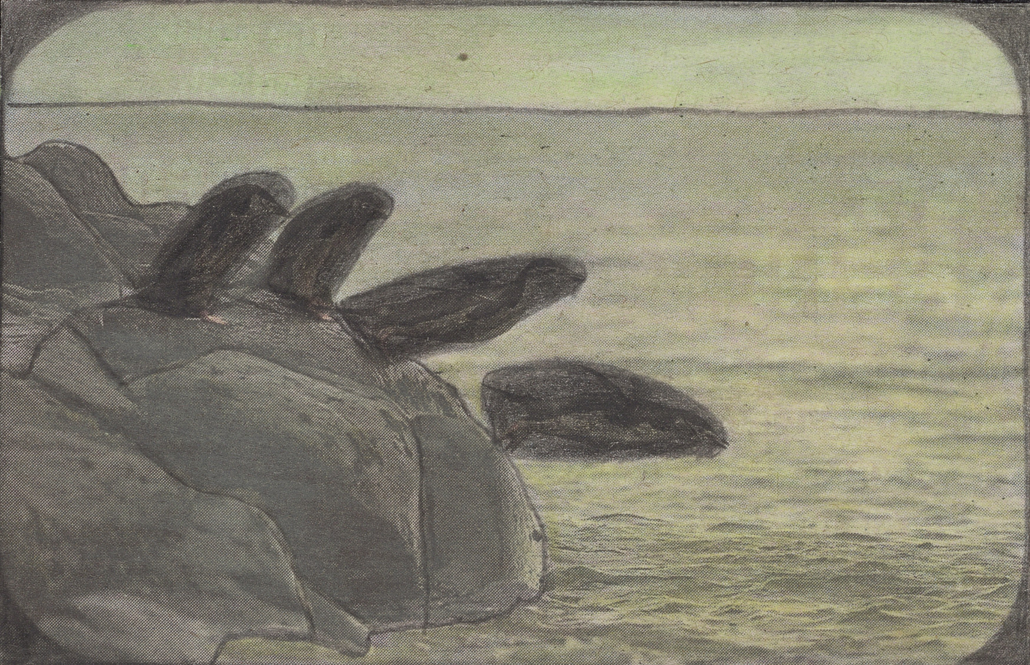 Leopold Strobl, image 20 of 37