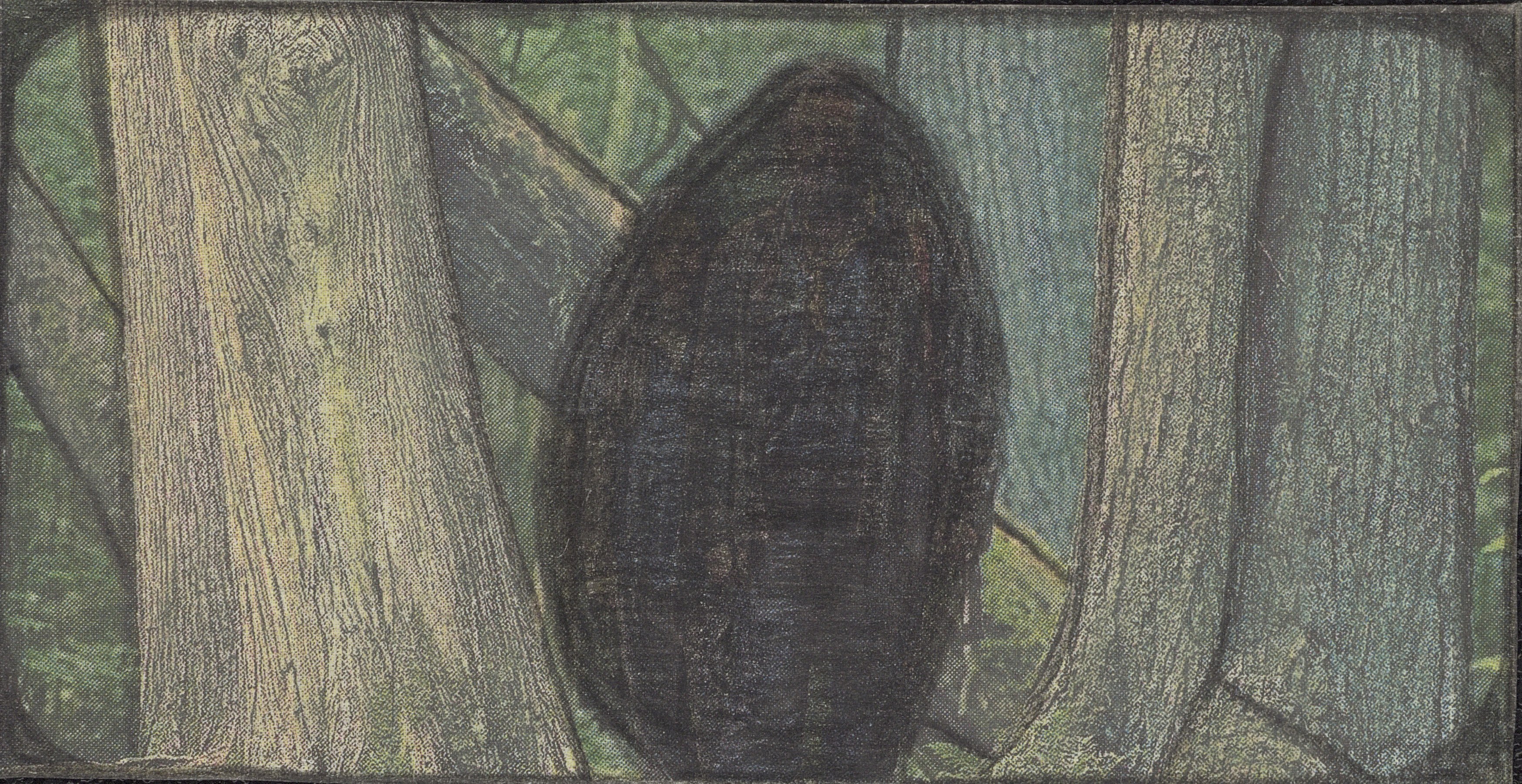 Leopold Strobl, image 24 of 37