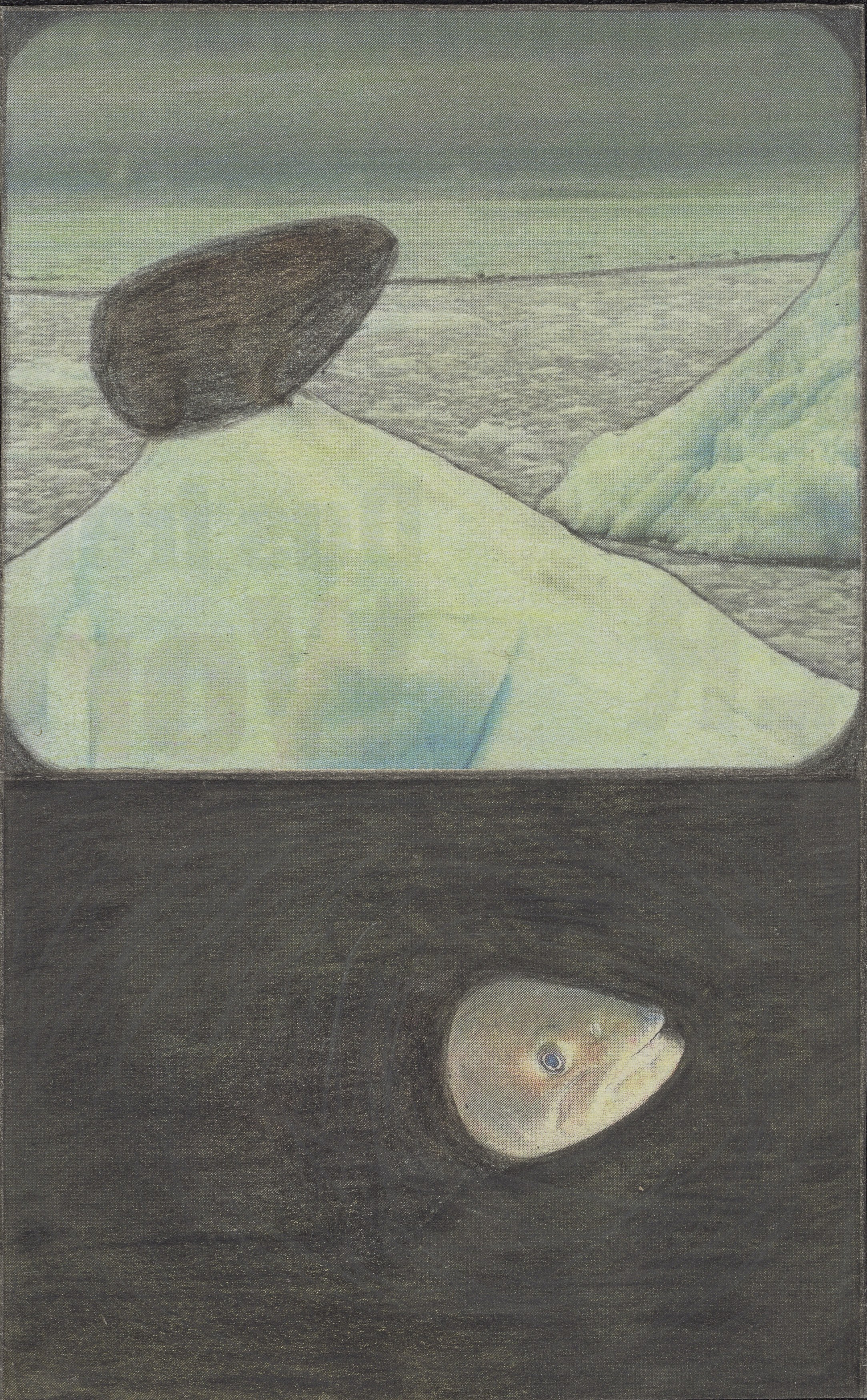 Leopold Strobl, image 27 of 37