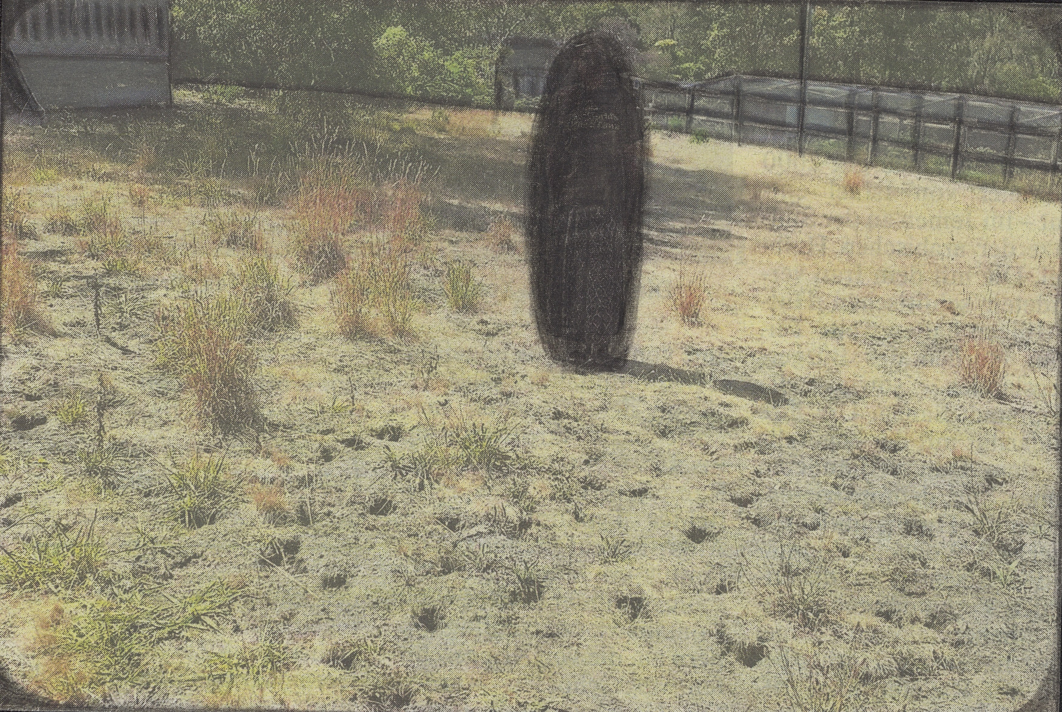Leopold Strobl, image 31 of 37