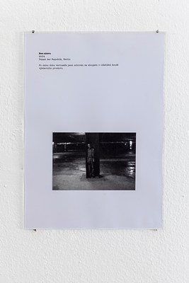 Image 11 of 13